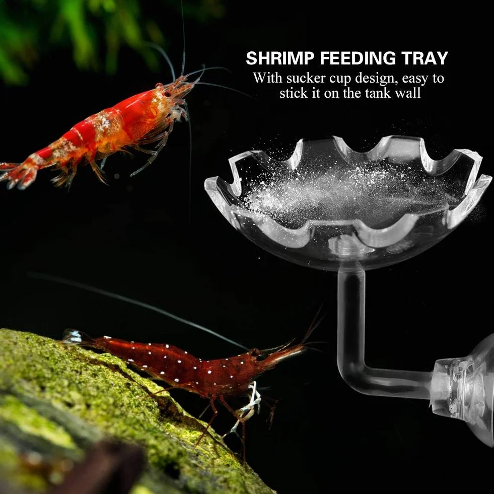 Shrimp Futternapf Acryl Sucker Cup Design Aquarium Bowl Tray Wasser Lebensmittel Kleiner Reptil Würmer Haustiere Dish Feeder Bowl