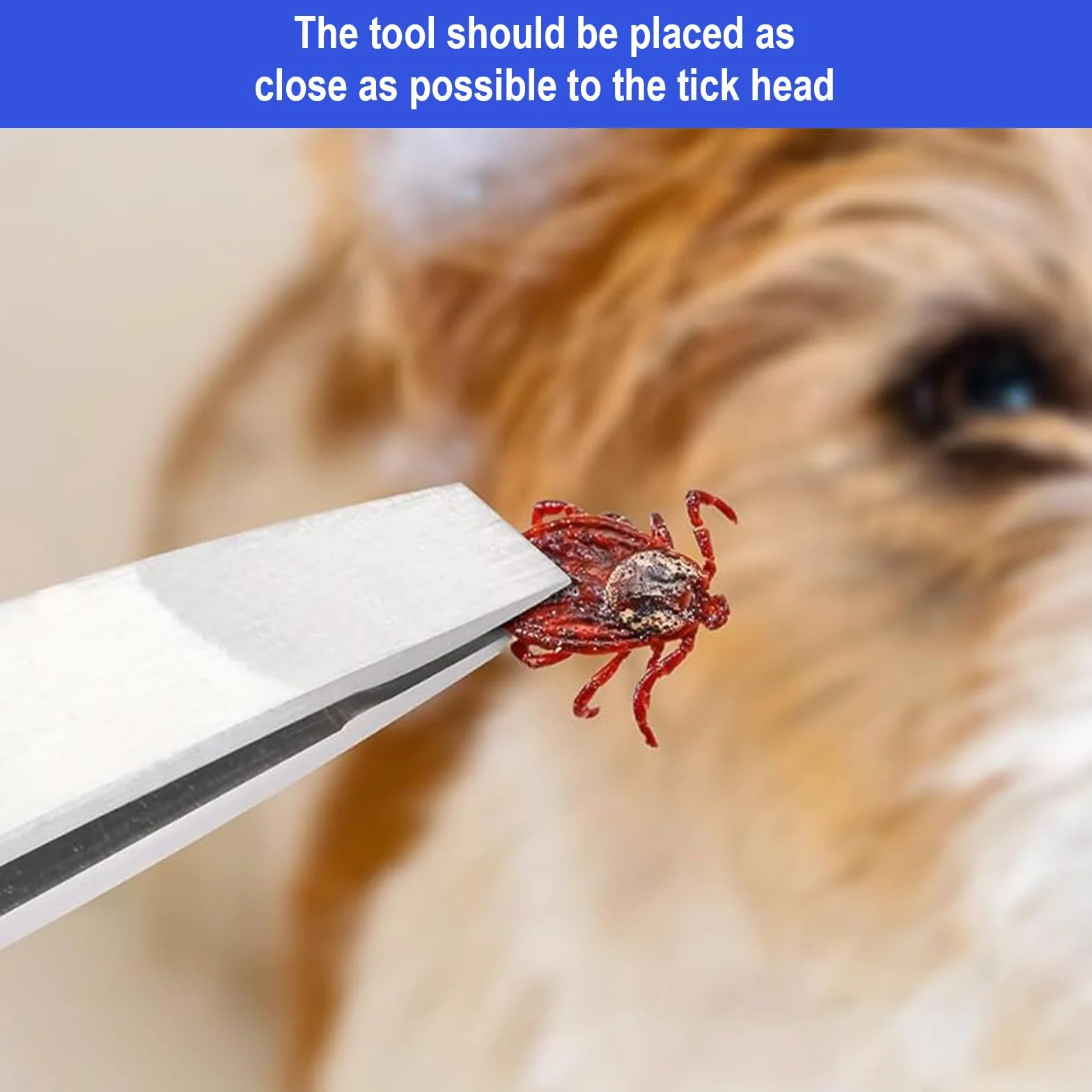 Tick Tweezers Set for Dog Cat Mens - 5 szt. Tick Tweezers z haczykiem, metalową pęsetą i kleszczami Tweezers, bezpieczny środek do usuwania kleszczy dla dzieci i zwierząt domowych