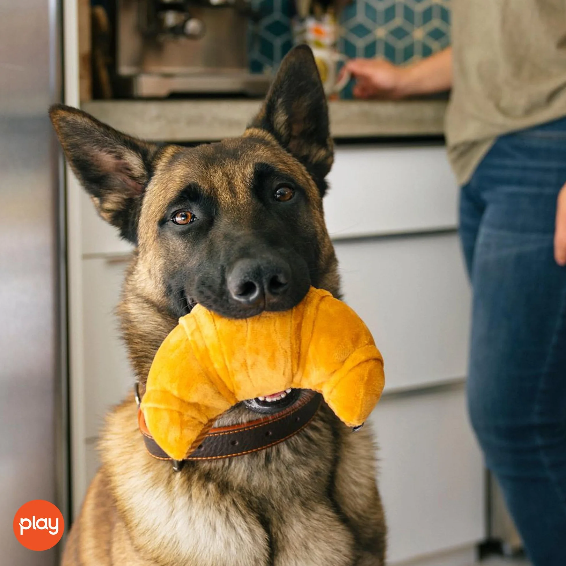 P.L.A.Y. Pet Lifestyle and You - Barking Brunch - pluszowa zabawka dla psów - Pup's Pastry Croissant