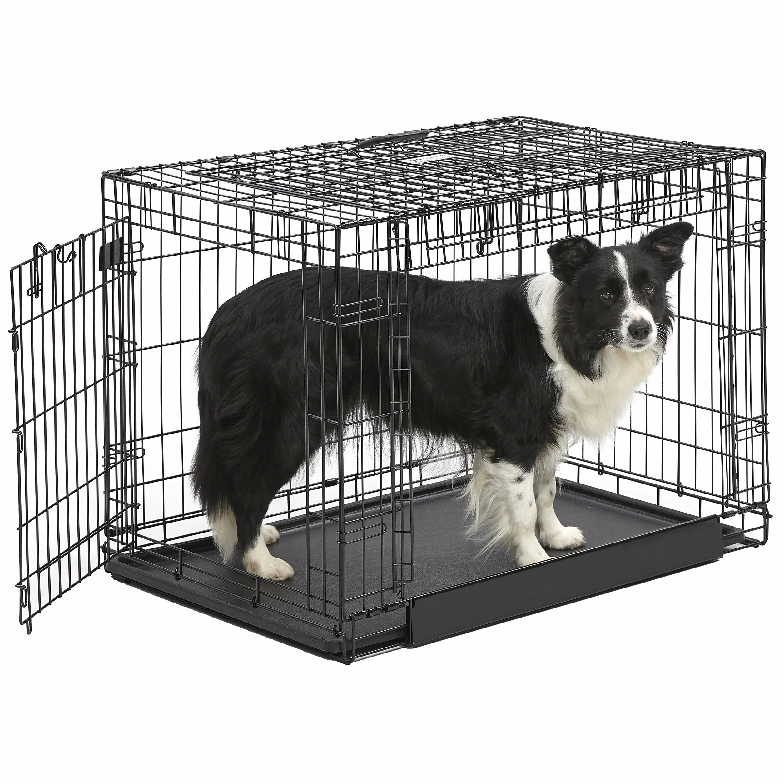 MidWest Homes for Pets Intermediate Ovation Double Door 36-inch Folding Metal Dog Crate, Front and Up & Away Side Doors, Space-Saving Design