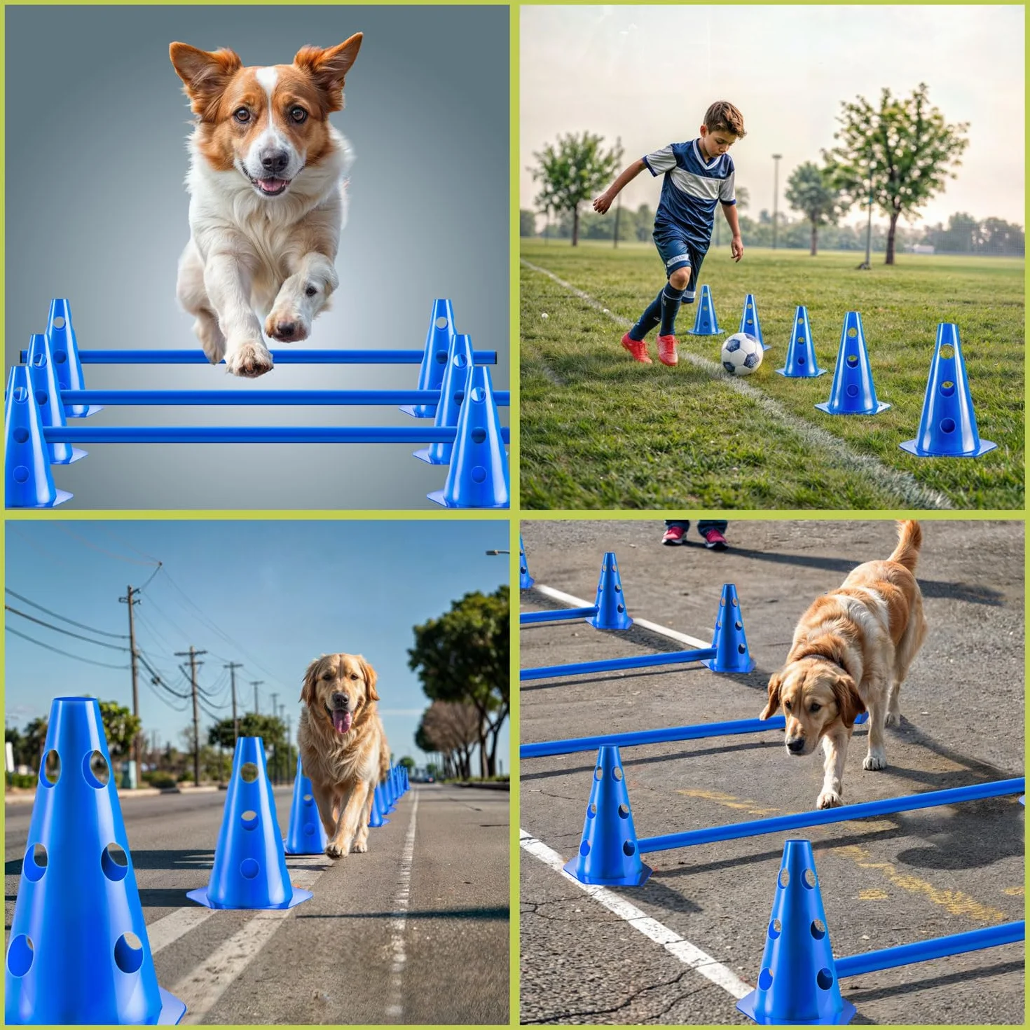 Tunel agility dla psa - tunel do zabawy z psem; zestaw akcesoriów agility z kołkami, torbą transportową, zabawką do rzucania frisbee i płotkami z pachołkami (Set: 200 cm + Akcesoria)