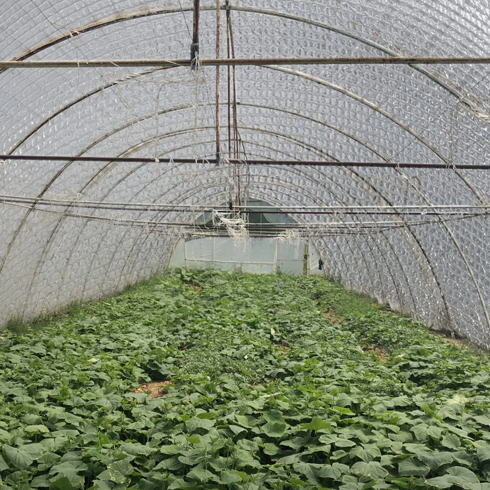 Folia odblaskowa izolacyjna na kaloryfer 1 x 15 m 3-4 mm podwójna bąbelkowa