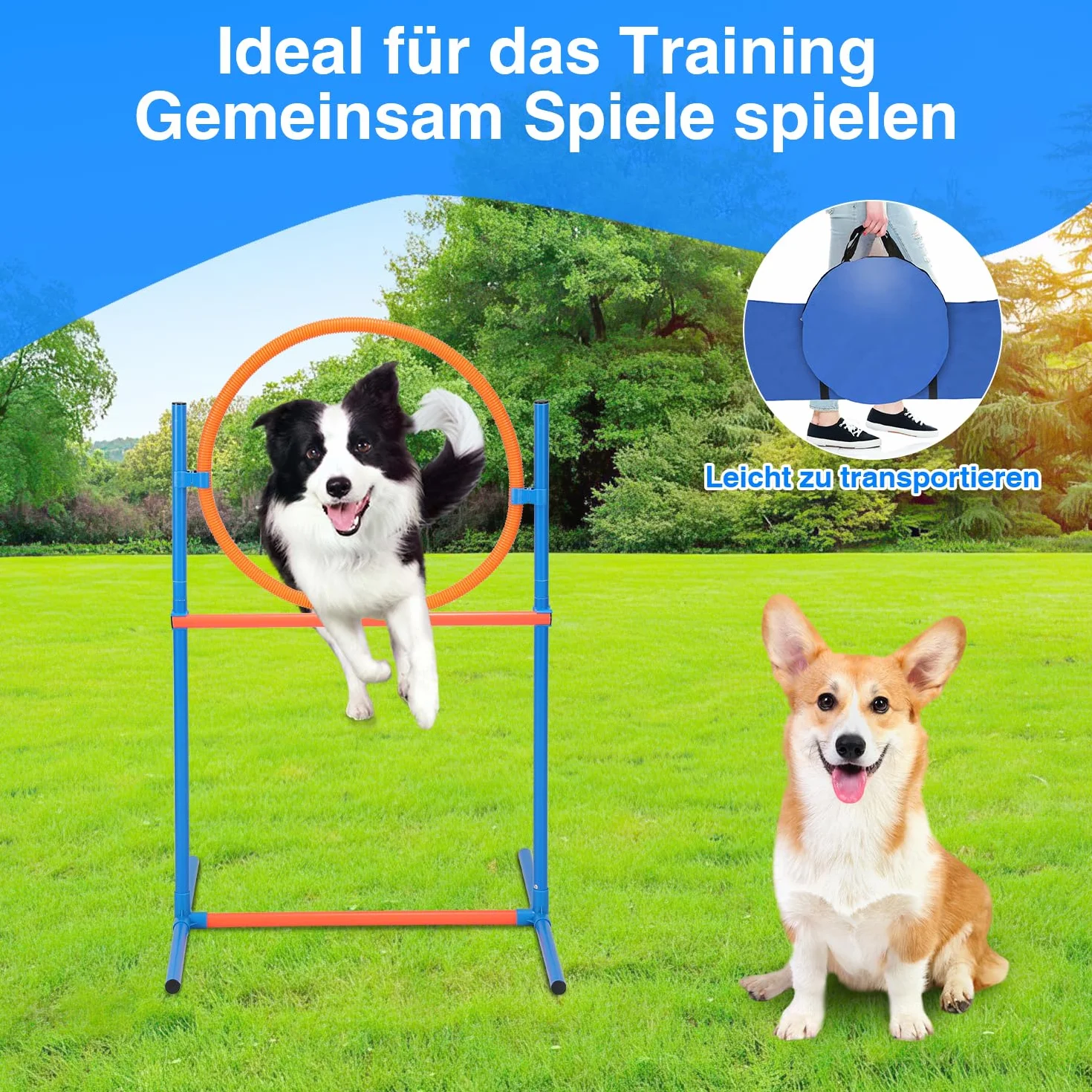 Gimisgu Agility zestaw dużych psów zwinnościowych, zestaw wyposażenia dla psów, akcesoria do treningu psa, przeszkoda, pierścień do skakania, tunel dla psa, 8 drążków slalomowych, piłka, gwizdek,