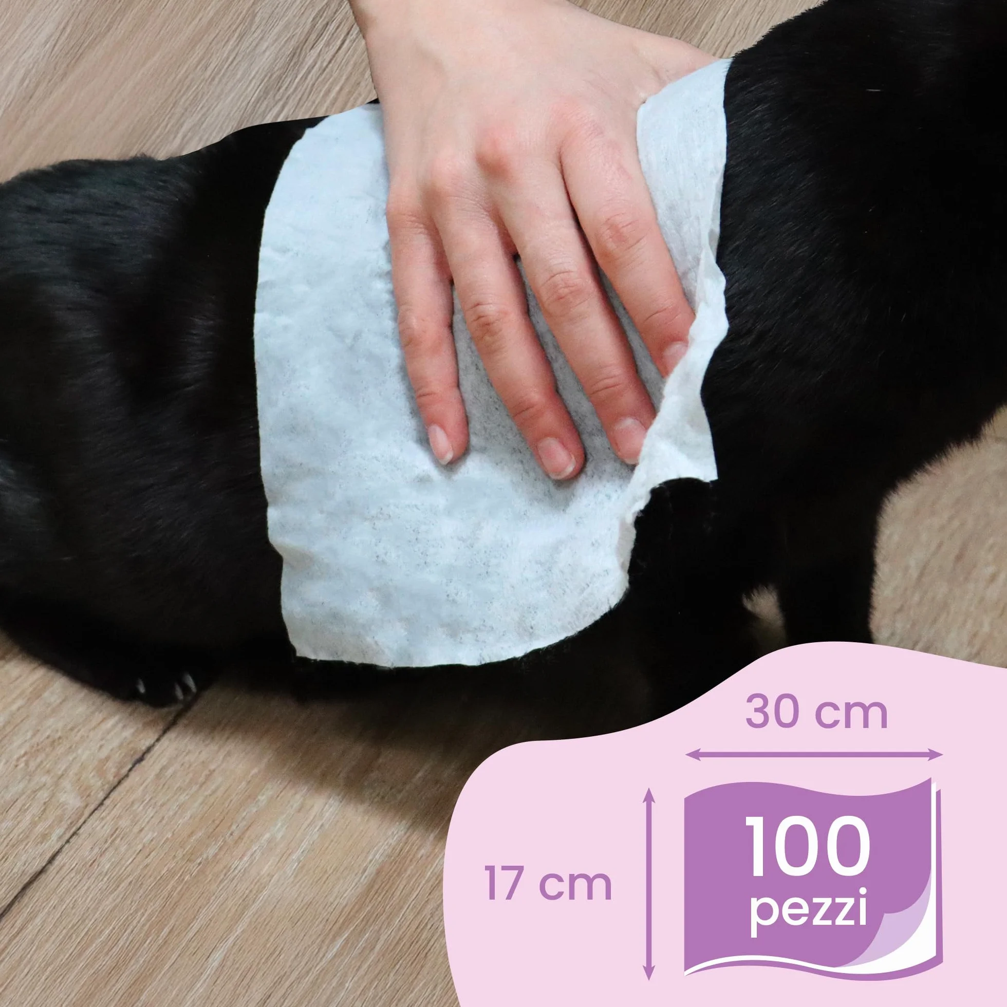 Camon Chusteczki oczyszczające do włosów zapach mech i aloes - 30 x 17 cm - 100 sztuk dla psów i kotów