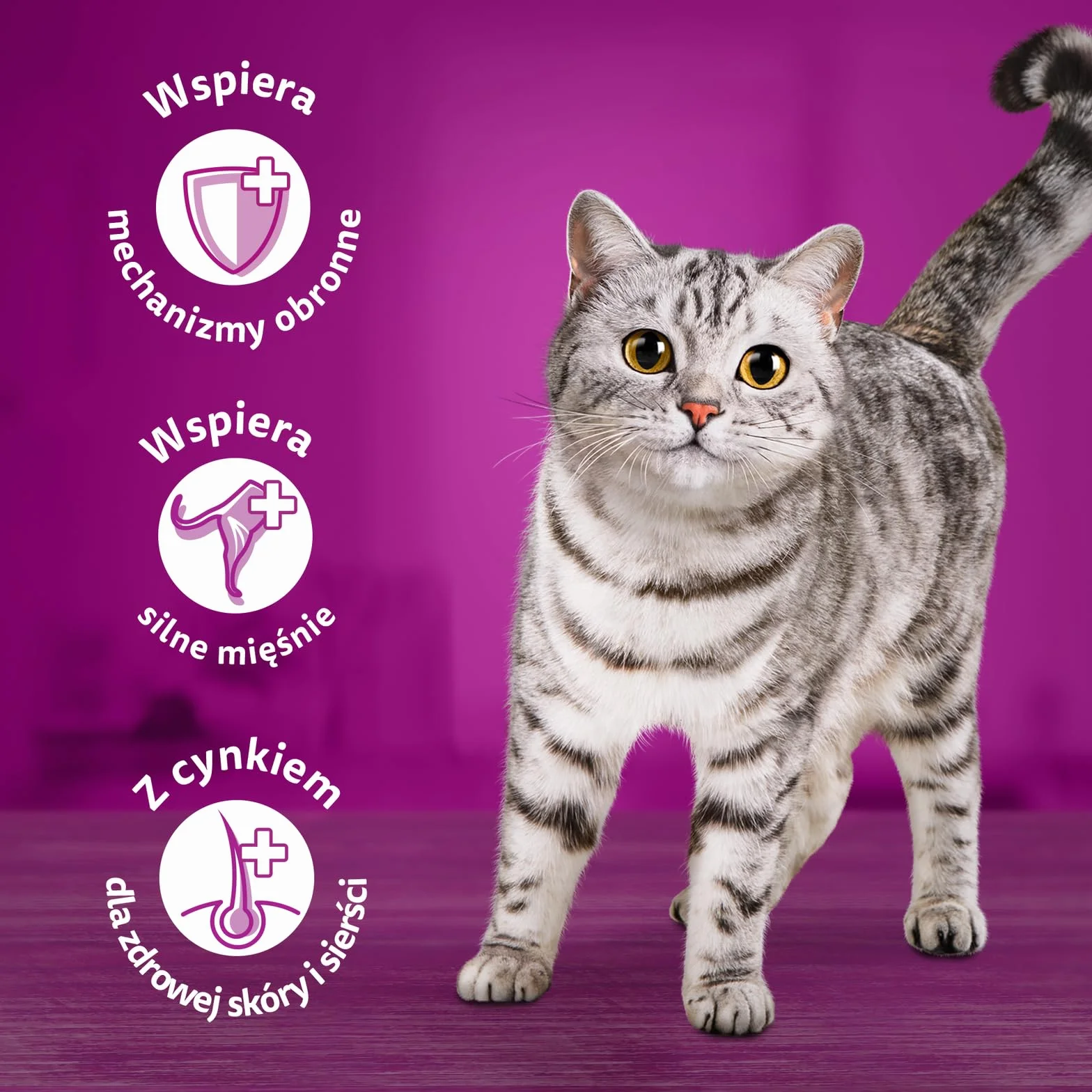 WHISKAS MOKRA KARMA DLA KOTA WOŁOWINA KURCZAK JAGNIĘCINA DRÓB W SOSIE SASZETKI 40X85 G