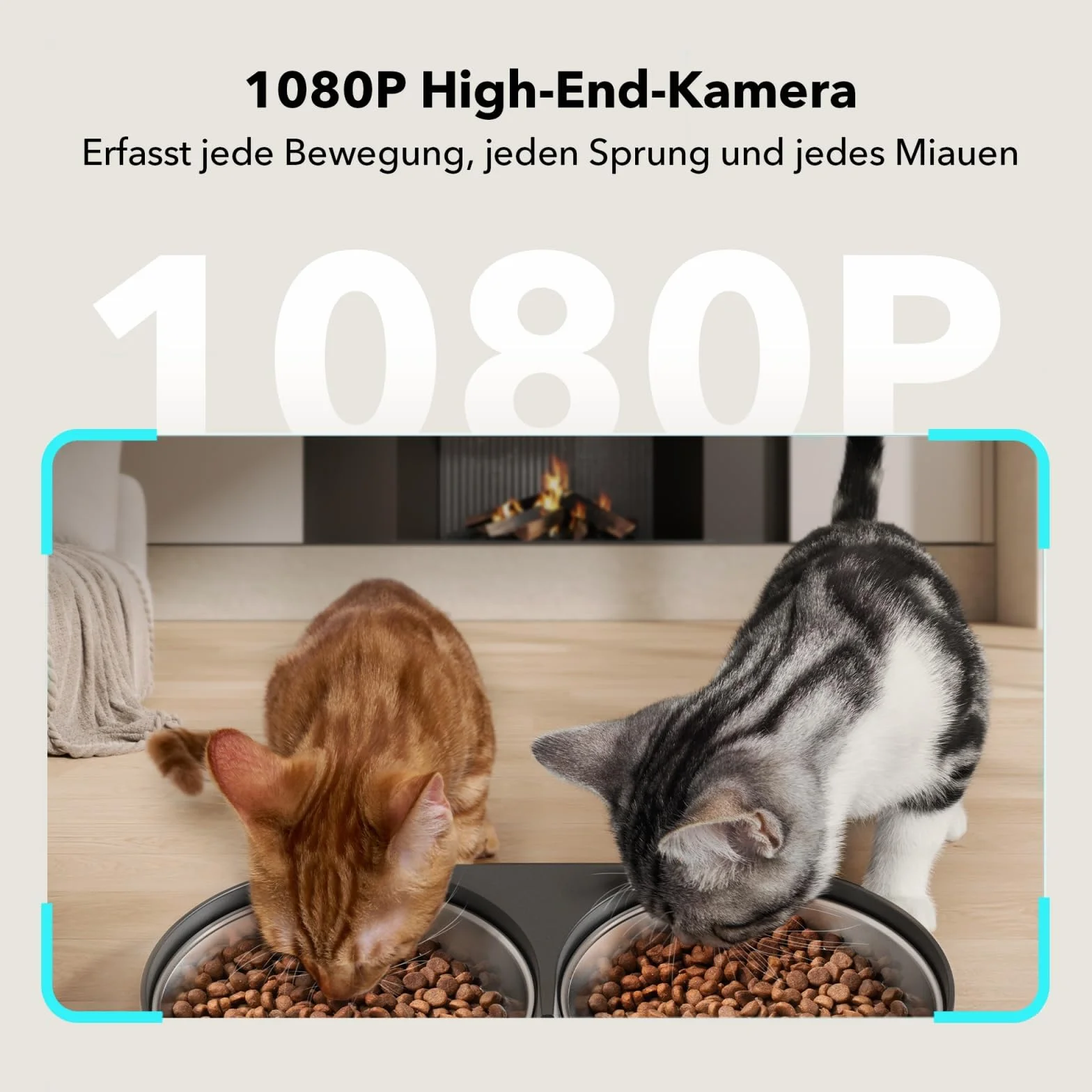 PETLIBRO ETLIBRO Dozownik karmy 2 kot z kamerą 1080P, 5G i 2,4G WiFi automatyczny karmnik dla zwierząt z miskami ze stali nierdzewnej, miski dla kotów lub psów