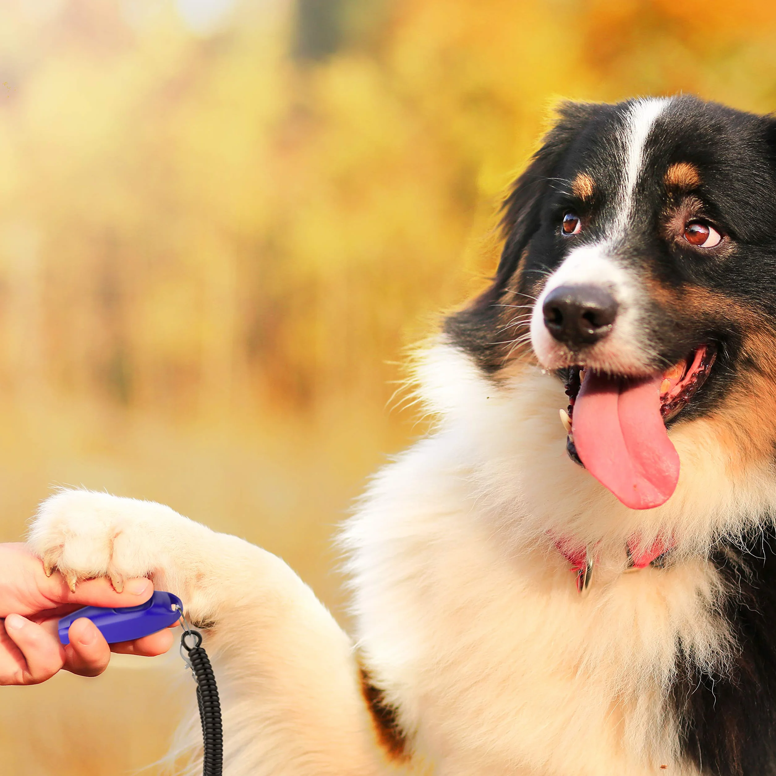 TruePets® 2 w 1 klik dla psa – clicker z gwizdkiem dla psa – kliker, idealnie nadaje się do edukacji psa, clicker doog – clicker kot – trening clicker kot – gwizdek dla kota / psa (niebieski)