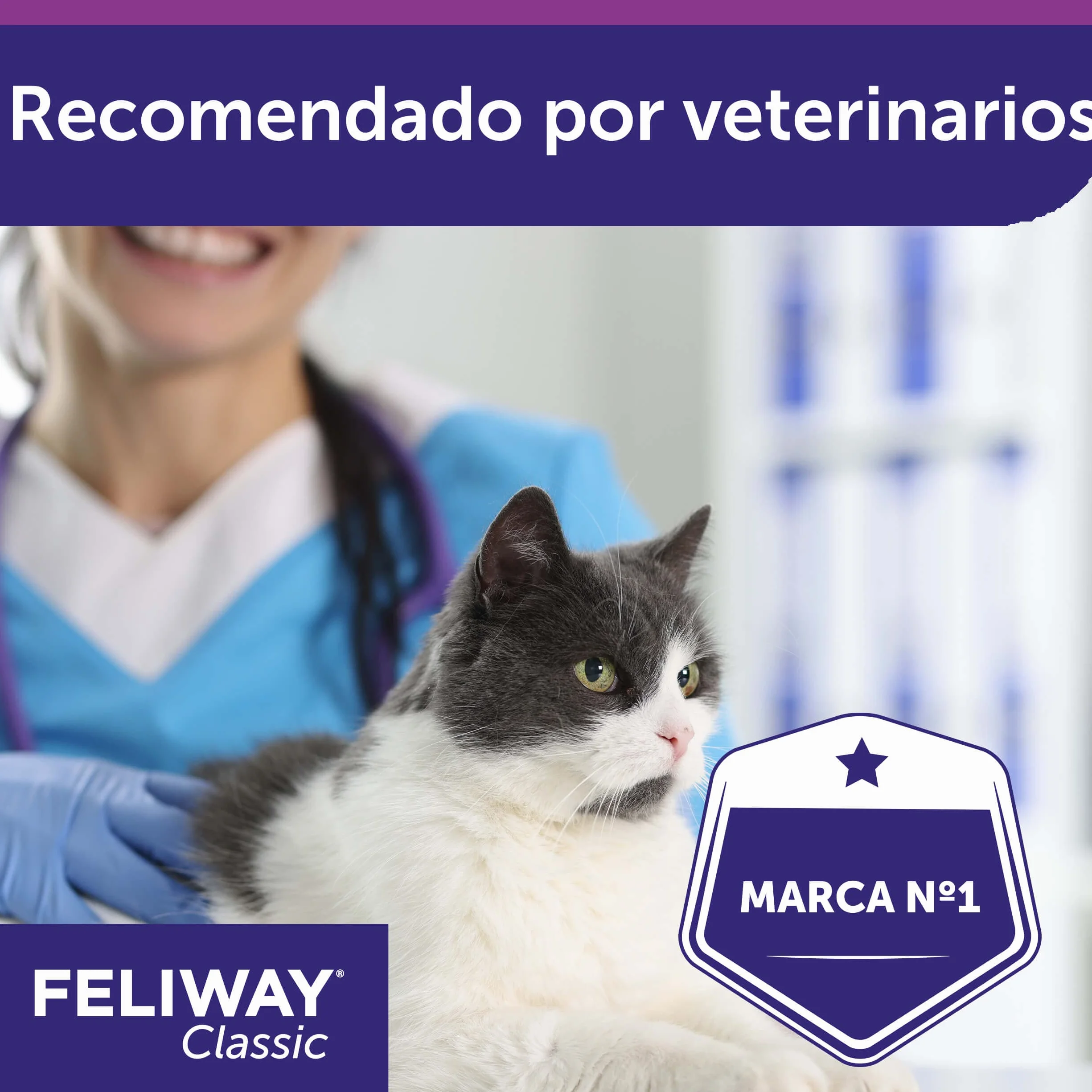 Feliway C23860B Zestaw Środków Uspokojajacych do Dyfuzora Friends, 3 x 48 ml,