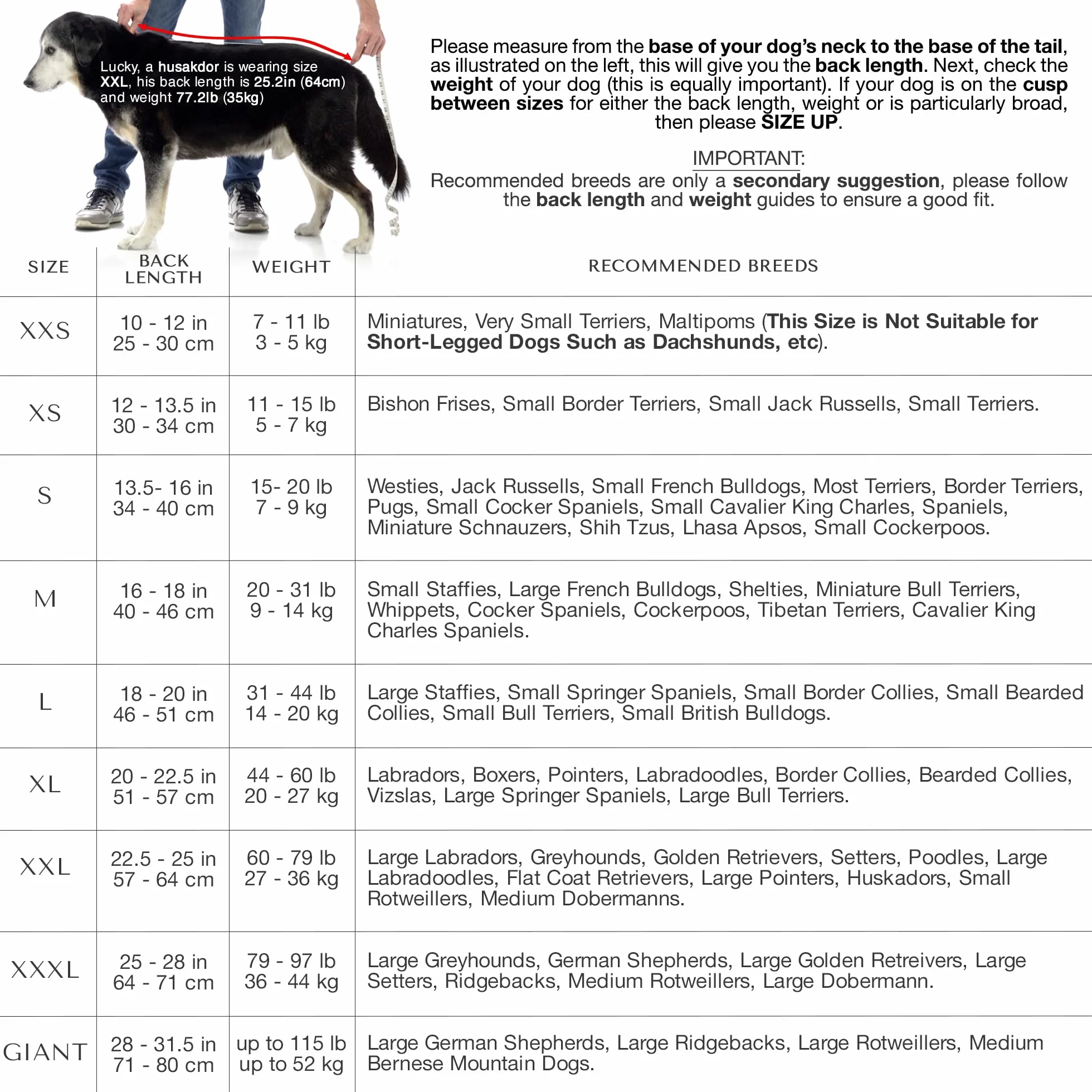 Lucky Paws® Płaszcz dla psa w Wielkiej Brytanii, dwuwarstwowy szlafrok do suszenia w ciągu kilku minut, super chłonny ręcznik dla psa i ultramiękki szlafrok dla psa w jednym luksusowym ręczniku dla