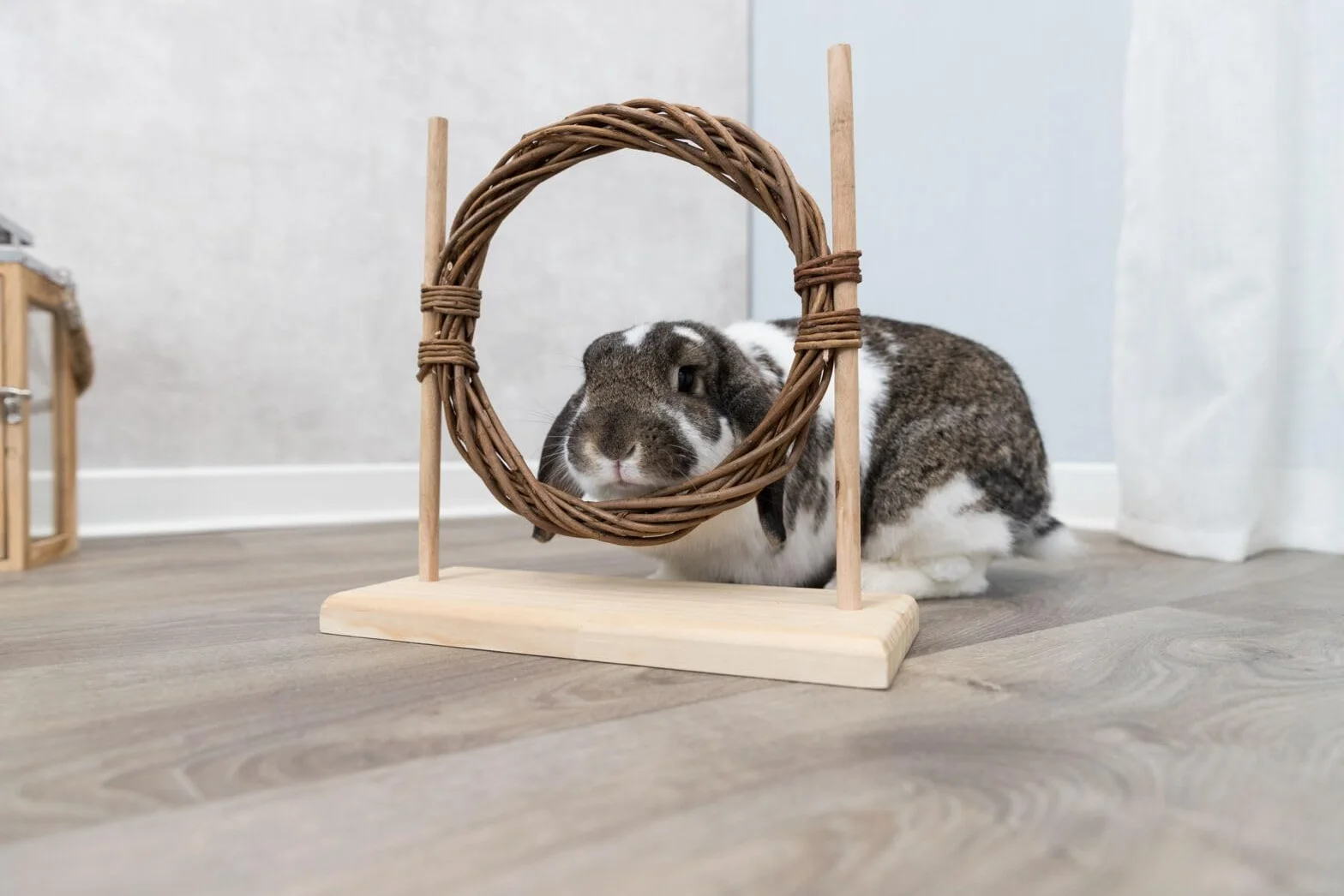 Trixie Zestaw Agility 2-częściowy z płotką i pierścieniem