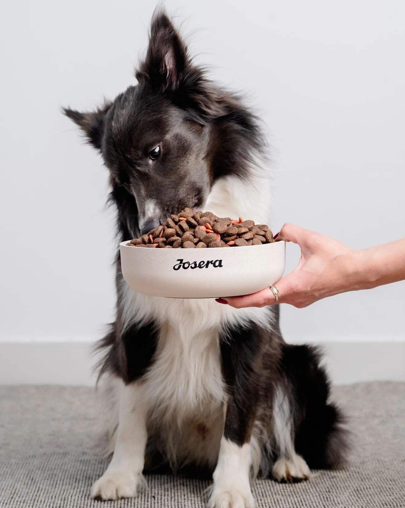 JosiDog Junior Sensitive 2,7 kg Karma dla szczeniaków wrażliwych sucha premium