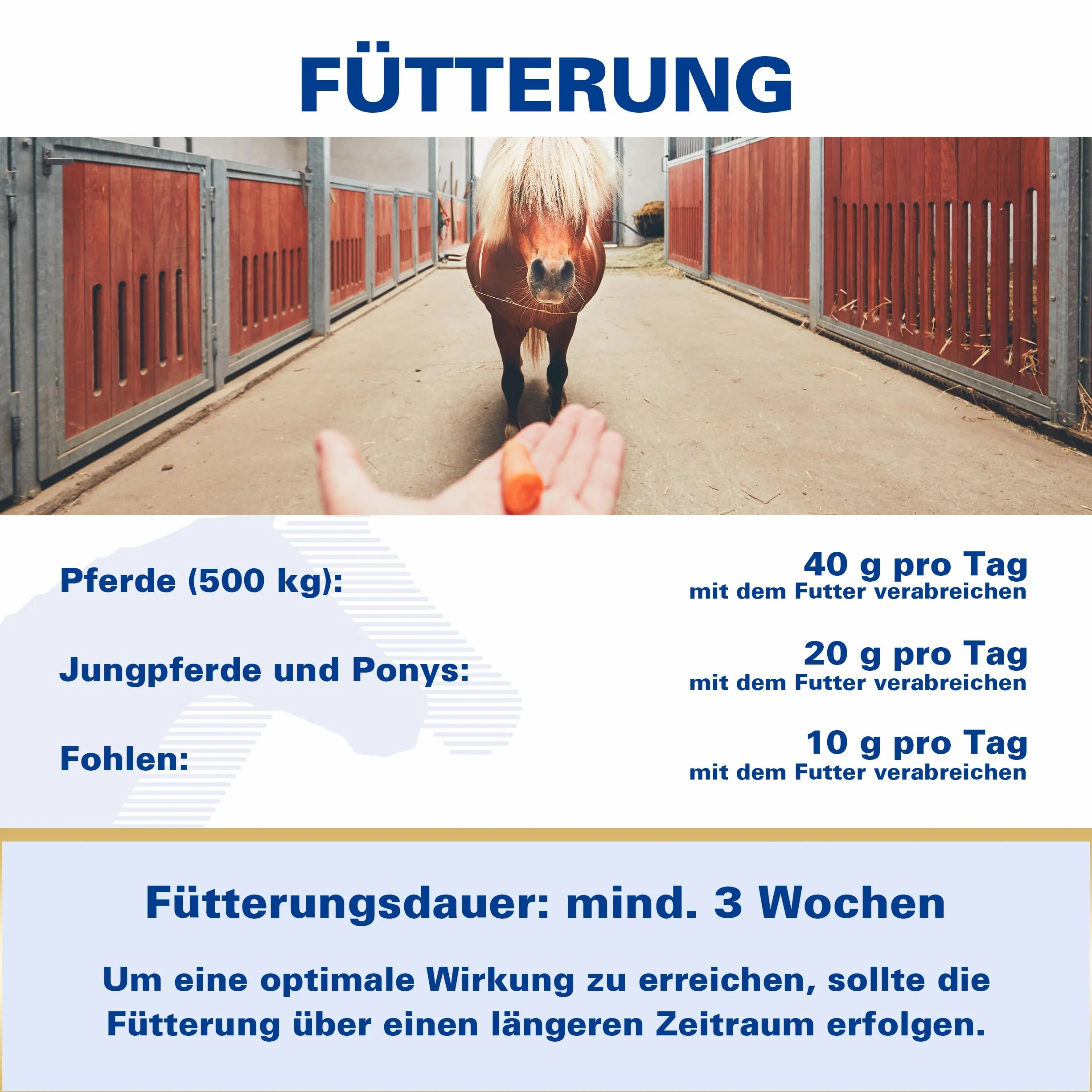 EQUIPUR - Zink forte - bezpiecznie zaopatruje się w organiczny cynk i selen, 1000 g granulek w puszce