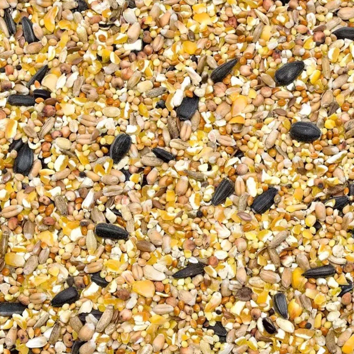 GiDeli Karma dla ptaków zimowa 10 kg w wiaderku – karma dla dzikich ptaków przez cały rok – karma dla sikorek do ogrodu i na balkon z nasionami lnu bogata w kwasy omega-3, wapń – bez dodatków