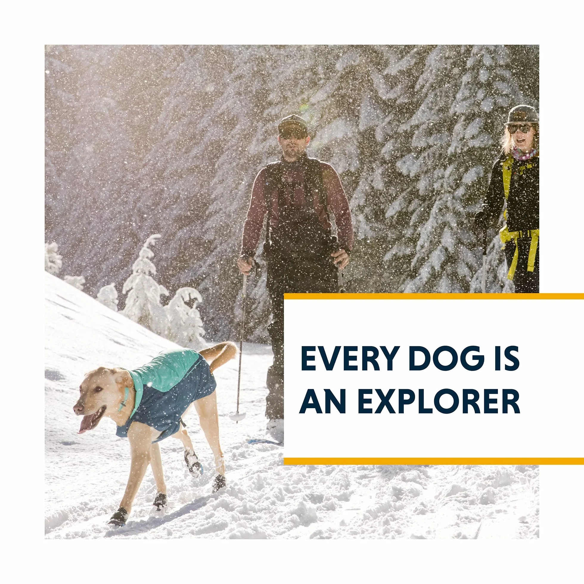 Ruffwear, Confluence obroża dla psa, wodoodporna, wytrzymała, szybkozłączka, odporna na zapachy, łatwa w czyszczeniu, regulowana taśma TPU z cichym mocowaniem na identyfikator, Aurora Teal, 35 cm – 51