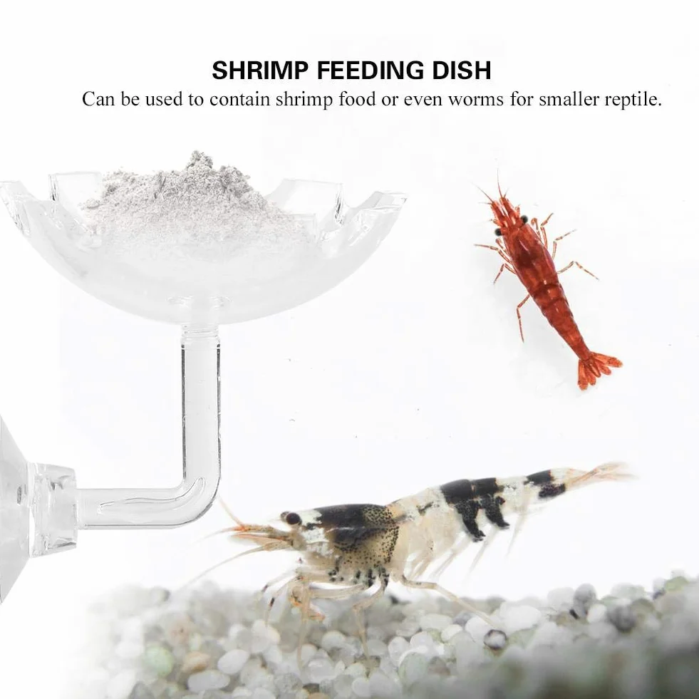 Shrimp Futternapf Acryl Sucker Cup Design Aquarium Bowl Tray Wasser Lebensmittel Kleiner Reptil Würmer Haustiere Dish Feeder Bowl