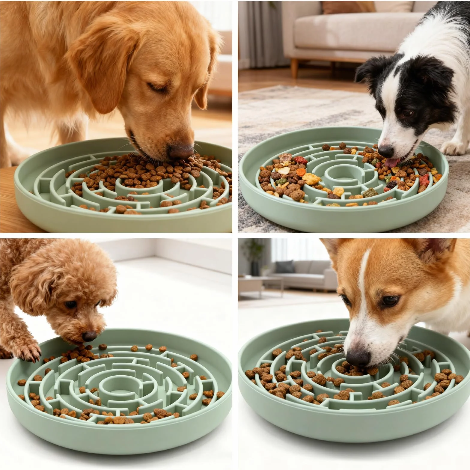 Slow Feeder