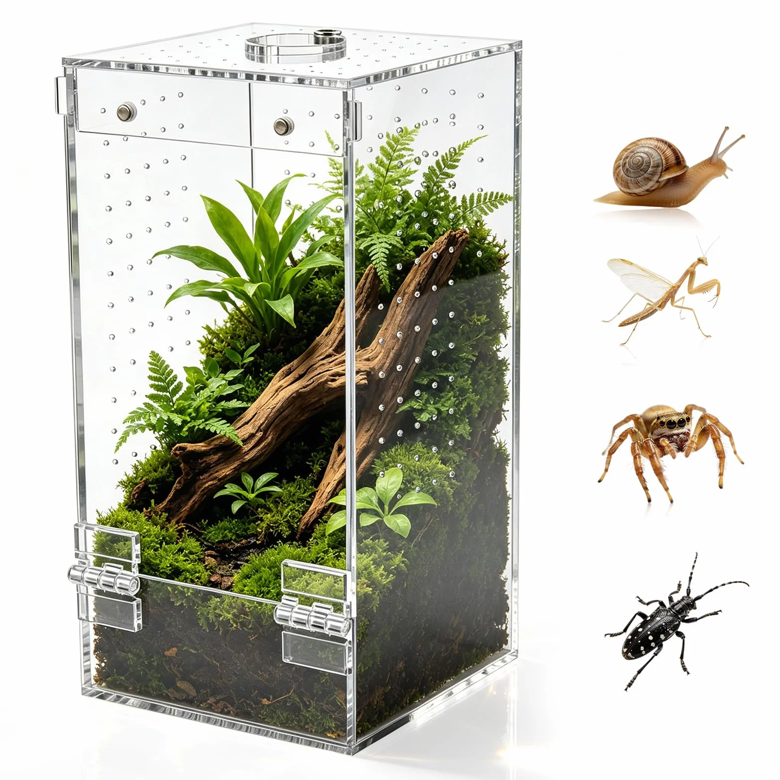 Homtone Akrylowe terrarium, terrarium owadów, terrarium ślimakowe z drzwiami magnetycznymi i otworem na karmę, odpowiednie dla pająków, ślimaków i owadów (10 x 10 x 20 cm)