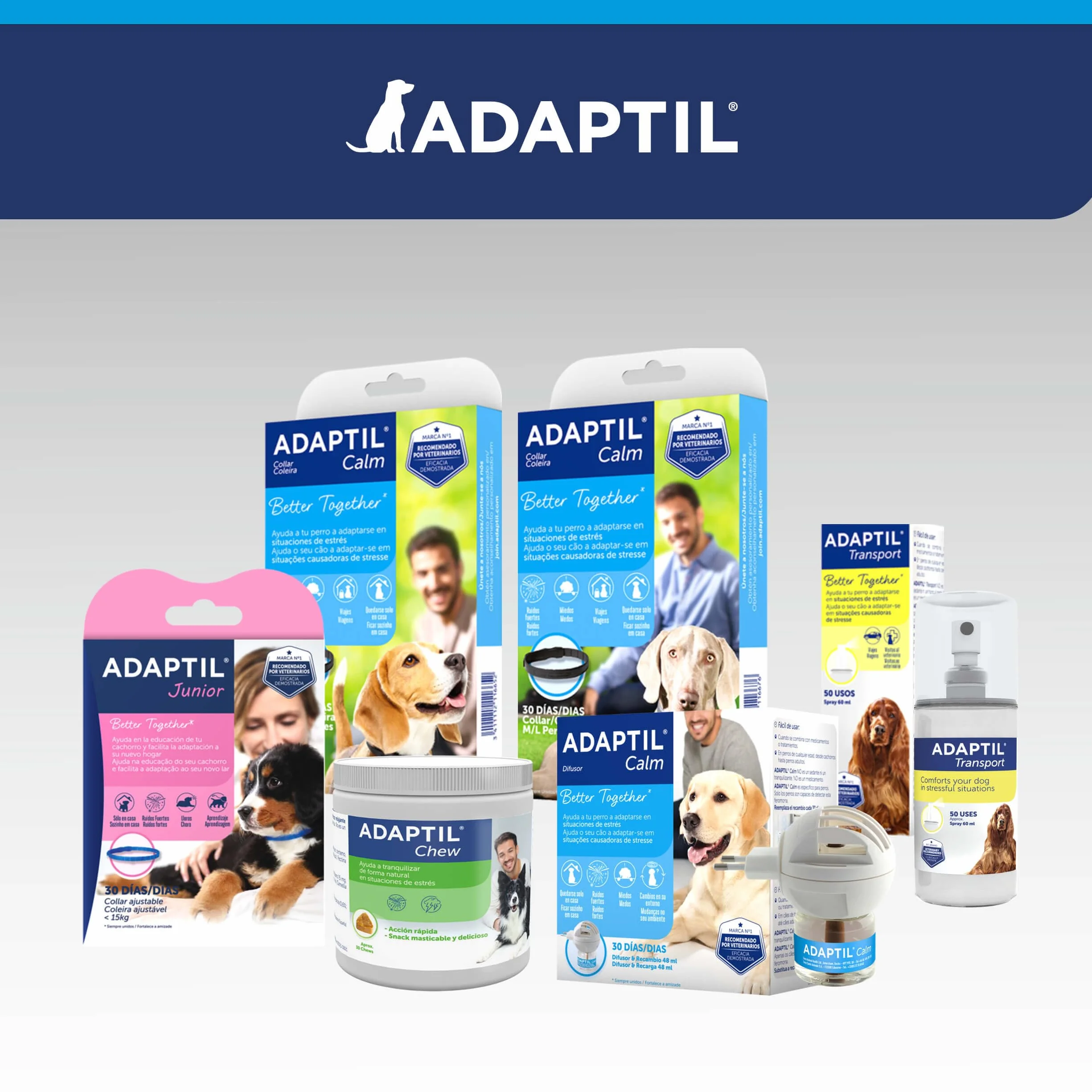 CEVA Adaptil Calm - antystresowy dla psów - lęki, głośne dźwięki, nauka, adopcja - obroża S dla małych psów