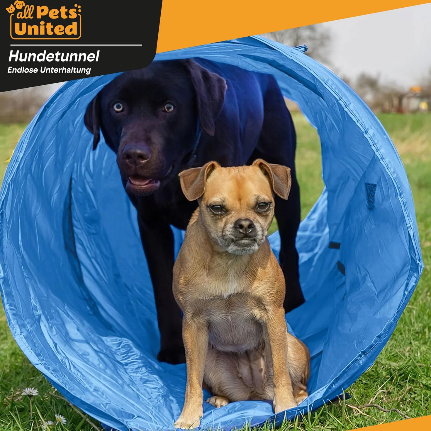 Tunel agility dla psa - tunel do zabawy z psem; zestaw akcesoriów agility z kołkami, torbą transportową, zabawką do rzucania frisbee i płotkami z pachołkami (Set: 200 cm + Akcesoria)