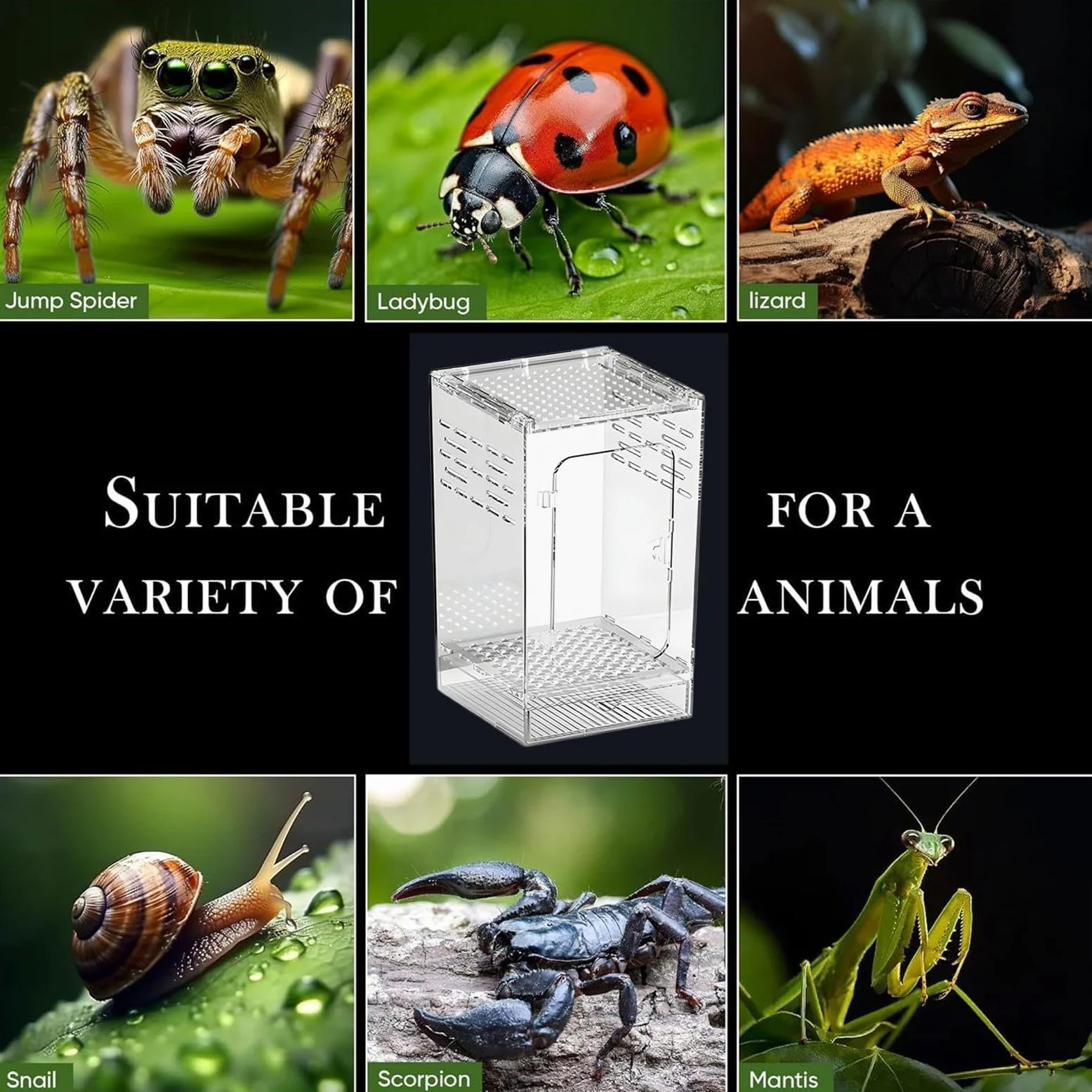 Siedlisko pająka, przezroczyste akrylowe terrarium o całkowitej przejrzystości | Małe siedlisko dla gadów, dla jaszczurek, ślimaków, żab, węży i krabów pustelników