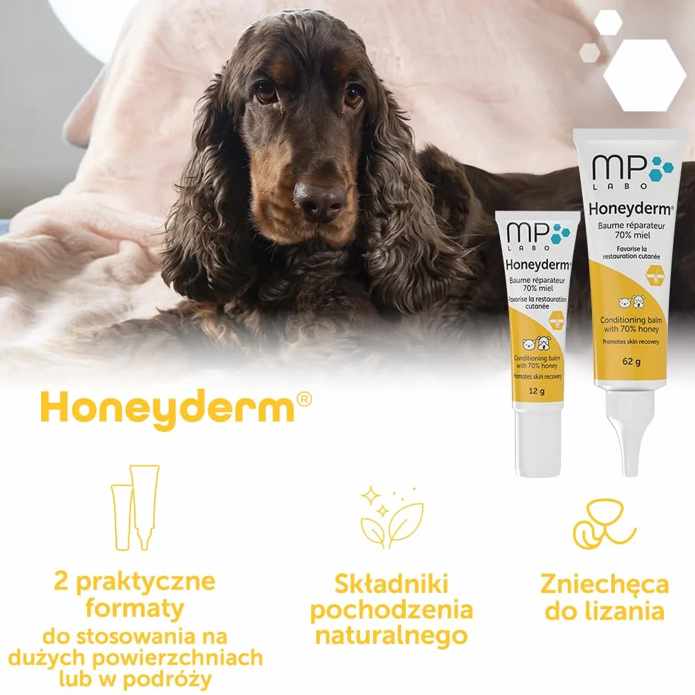 MP Labo Honeyderm® 62 g - balsam regenerujący z 70% zawartością miodu dla psów i kotów - zawiera kwas hialuronowy, witaminy A i E, masło shea, aloes i olejek lawendowy