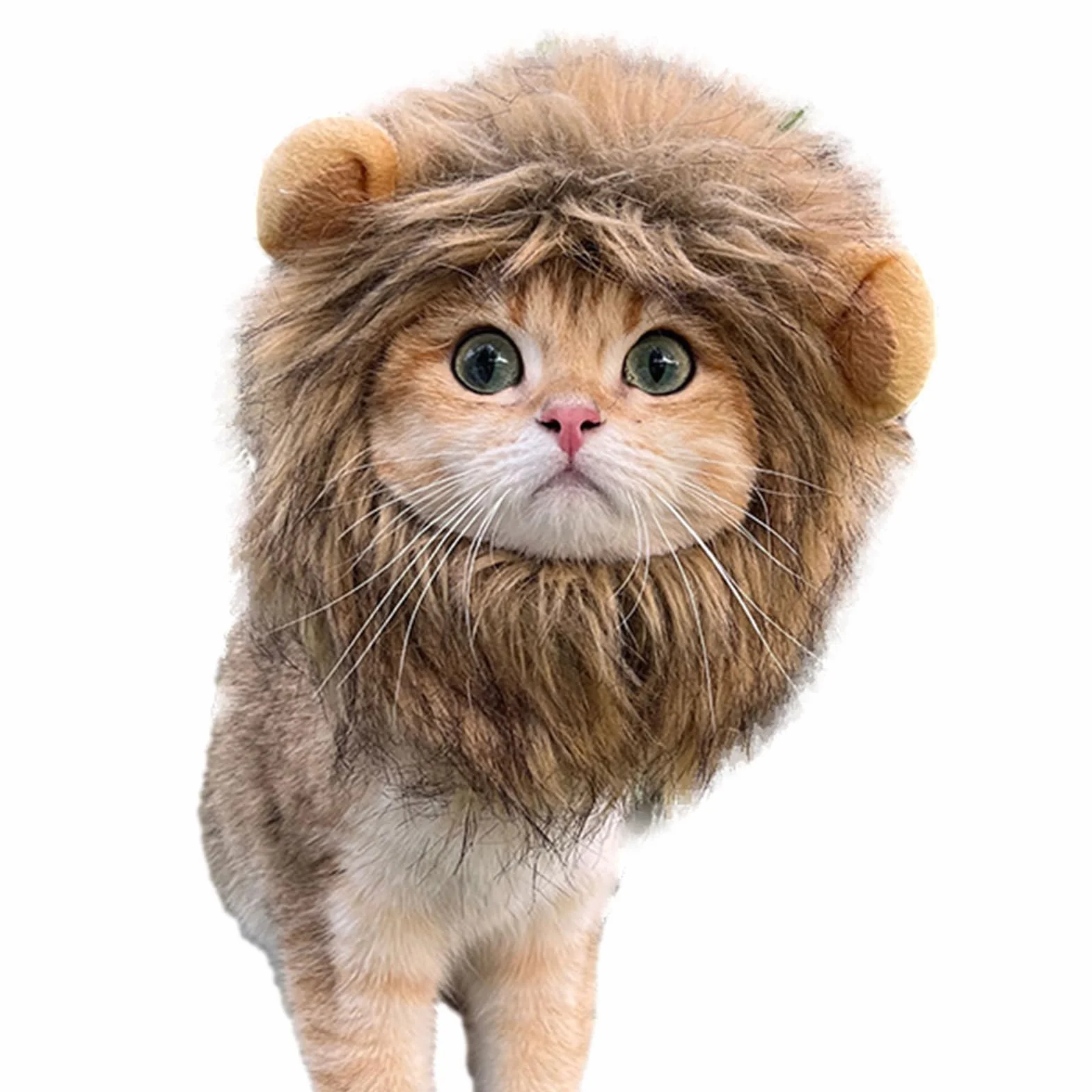 Maciun Lew Grzywa , Lew Grzywa dla kota - Lew W?osy Zwierz? Kot Kostium Kot Cosplay Odzie? - G?adkie w?osy lwa, zabawny kostium kotka, zmywalny fantazyjny kostium, kapelusz