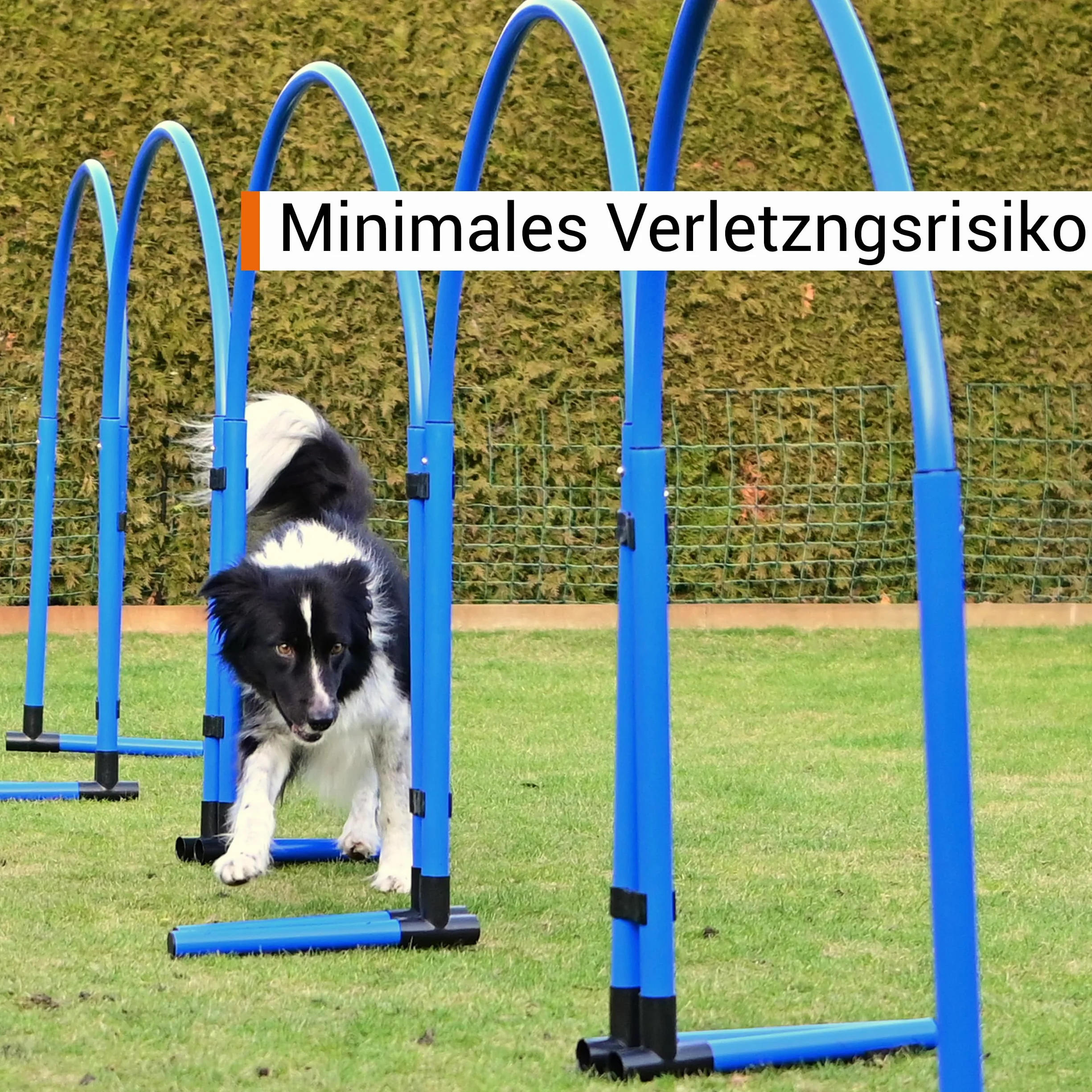 Hoopers Hoop odporny na warunki atmosferyczne VHD wielokolorowy z systemem złączek do treningu psów