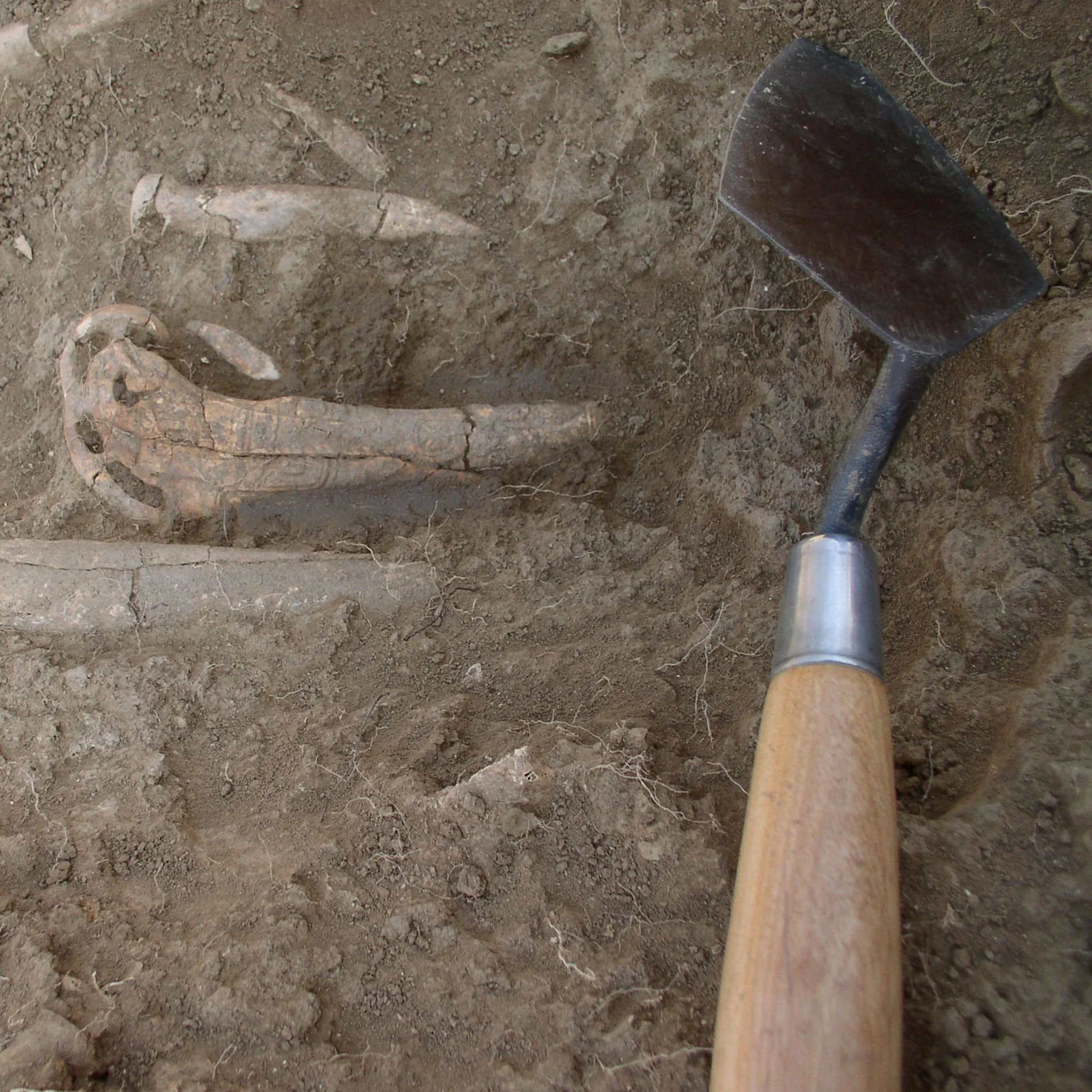 MARSHALLTOWN Kielnia punktowa archeologiczna 10 x 5 cm ostrze ze wzorem londyńskim stal wysokowęglowa drewniany uchwyt USA