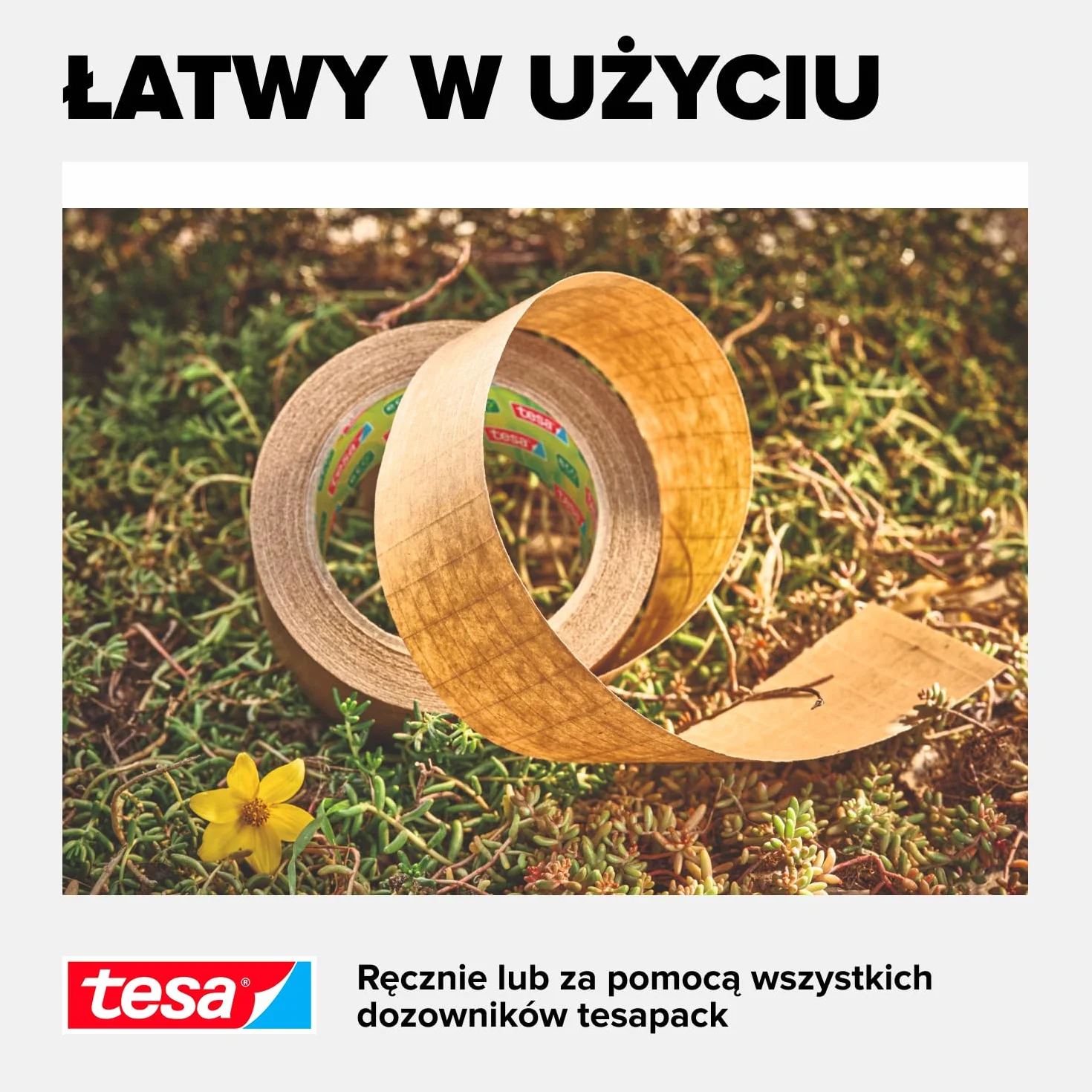 Tesa 56000-00000-00 Taśma do Pakowania, Brązowy, 25 m x 50 mm