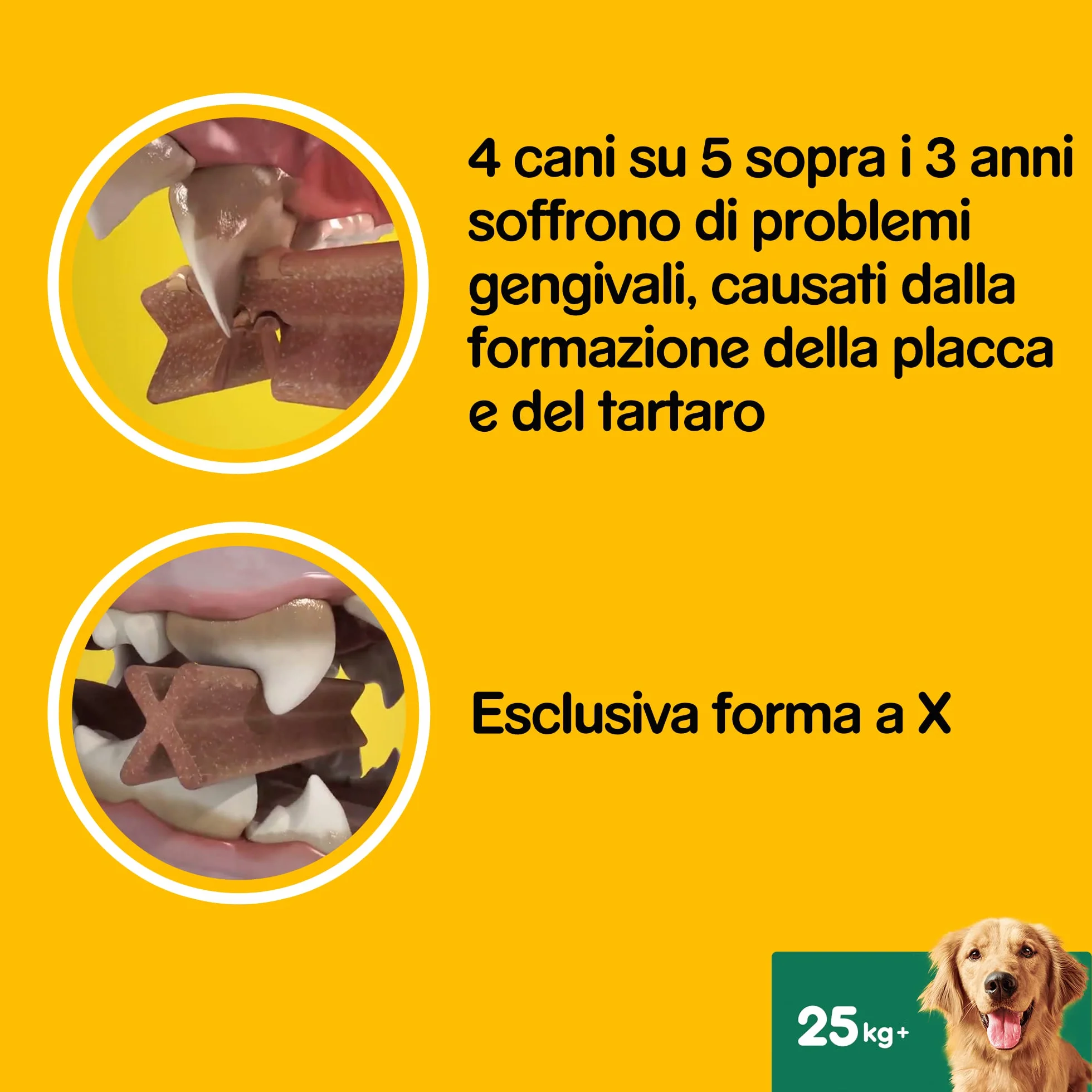 Pedigree Dentastix Snack do higieny jamy ustnej (Duży pies +25 kg), 270 g 105 sztuk - 15 opakowań po 7 sztuk (105 sztuk)
