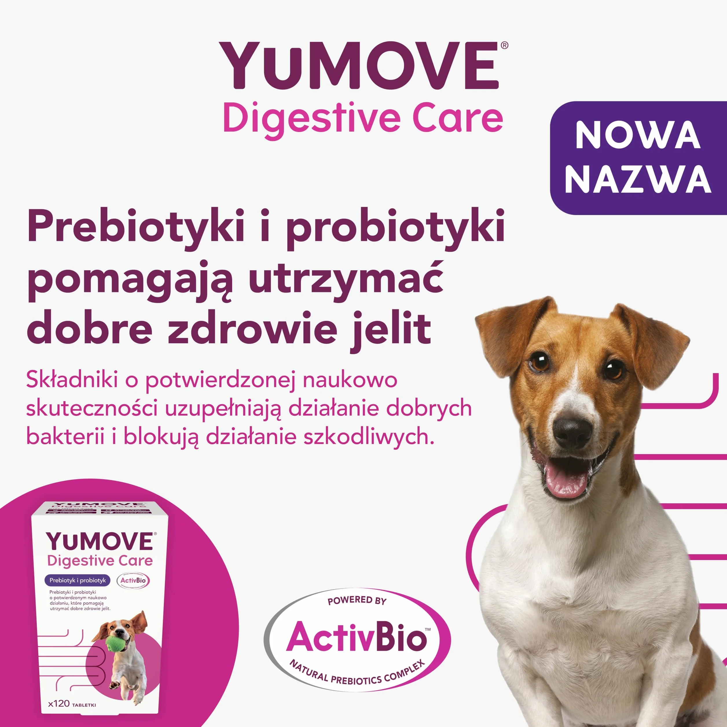 Yumove Pre- I Probiotyk Dla Psów ActivBio - 120 Tabletek Na Jelita | Patent W Toku, 200 M Cultures E. Faecium, Beta-Glukany, Równowaga Flory Jelitowej, Poparte Nauką, Polecane Przez Weterynarzy