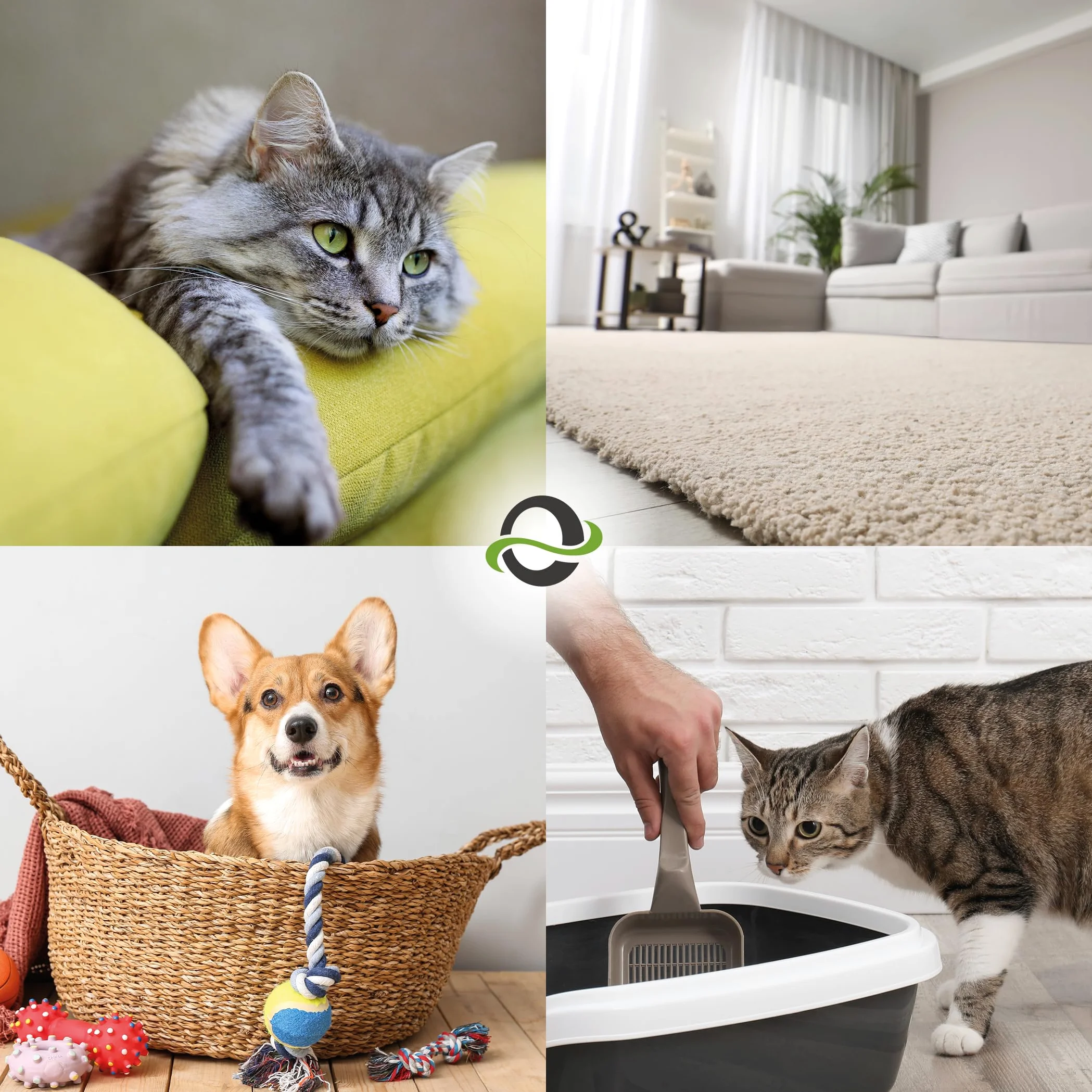 UF2000 4Pets Eliminator Zapachu Moczu 2500ml Koncentrat 1:5 Enzymatyczny Środek Czyszczący