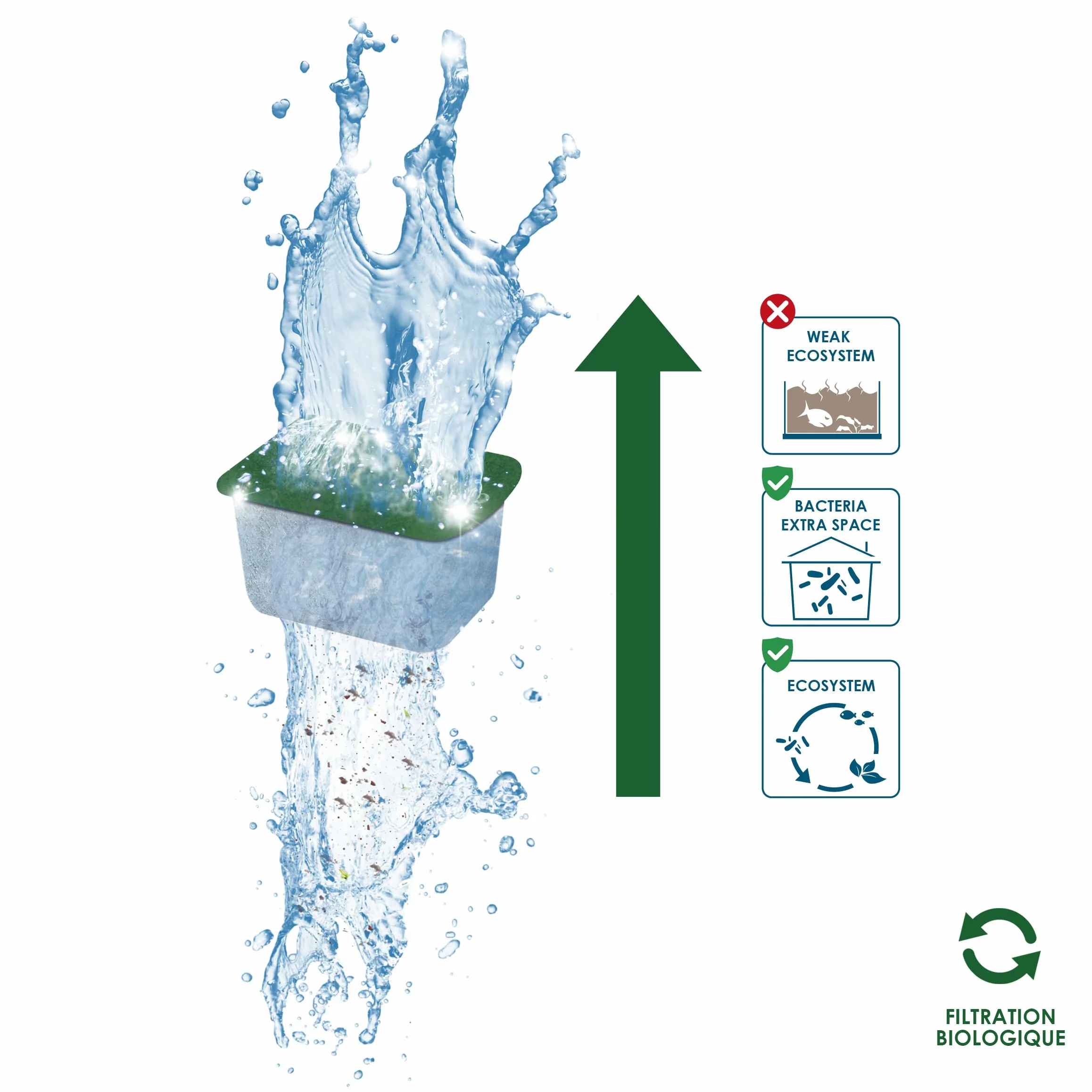 CIANO Akwarium Consumables Pack 3 miesiące do akwarium rozmiar M