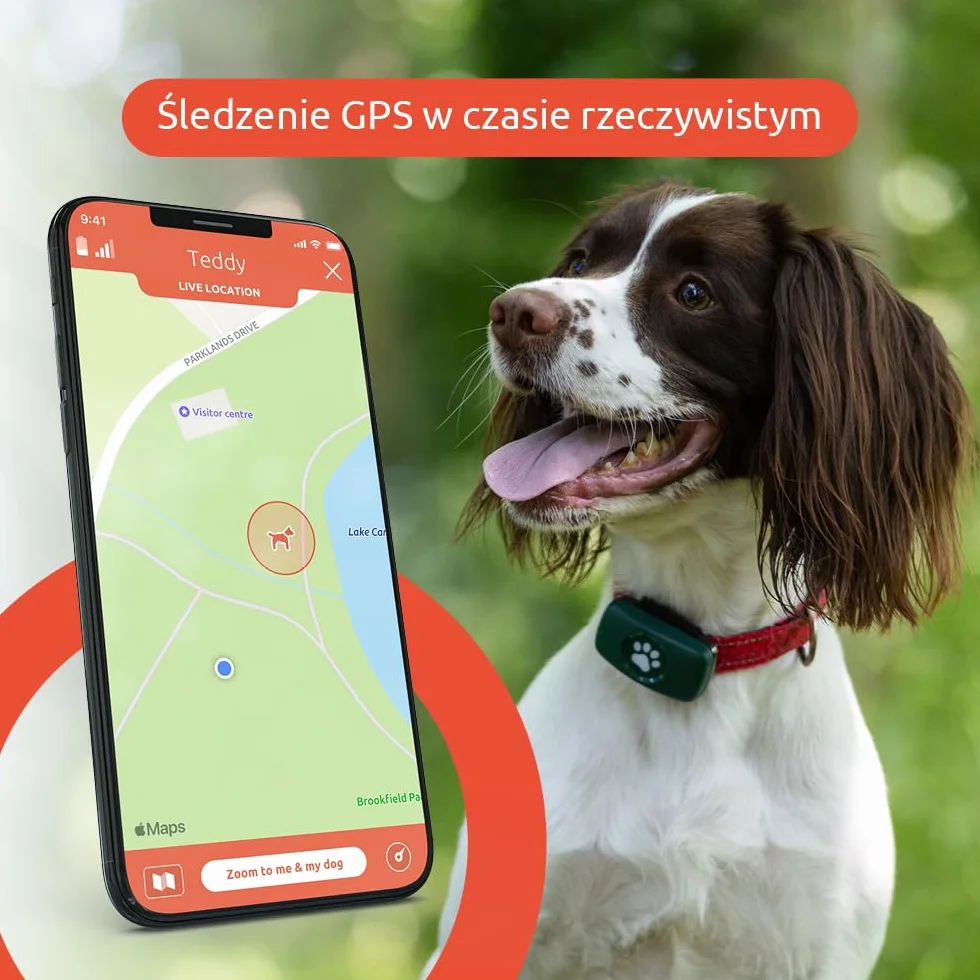 PitPat Lokalizator GPS dla psów – nie wymaga subskrypcji – odpowiedni dla wszystkich psów i pasuje do wszystkich obroży – 100% wodoodporny lokalizator dla zwierząt domowych (Czarny)