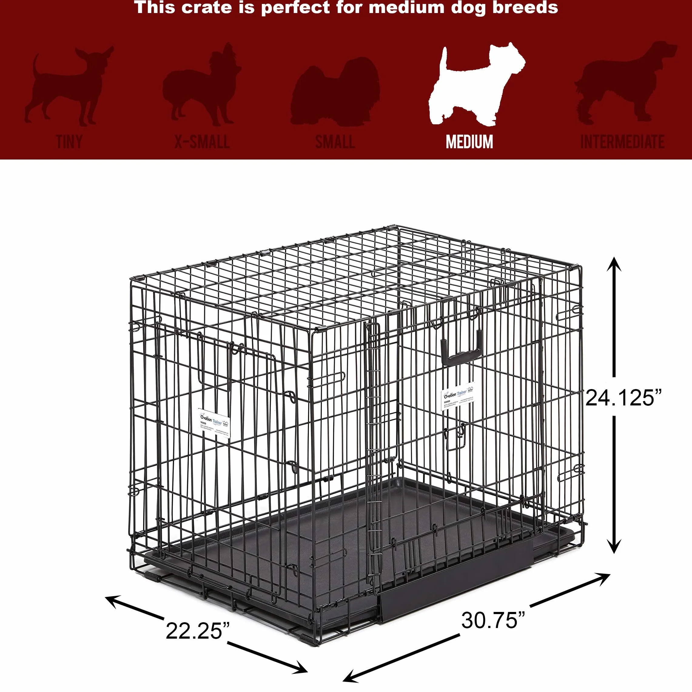 MidWest Homes for Pets Medium Ovation Double Door 30-inch Folding Metal Dog Crate, Front and Up & Away Side Doors, Space-Saving Design