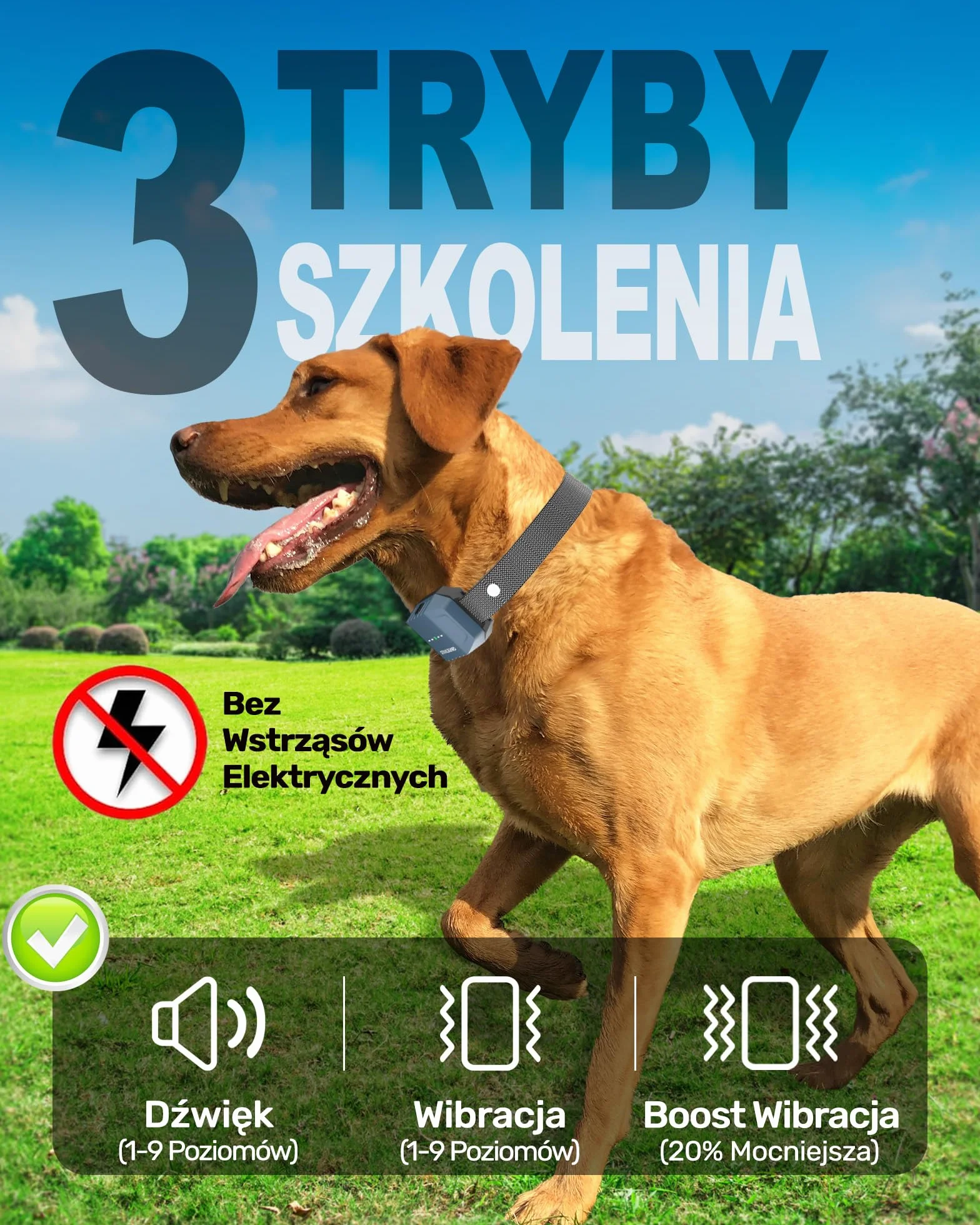 Obroża Treningowa dla Psów, Bez Wstrząsów, Tryby: Dźwięk, Wibracja, Boost, Zasięg 3 km, Kompaktowa, Ładowalna, Bateria na 30 Dni, Wodoodporna IP67, Dla Psów Wszystkich Rozmiarów