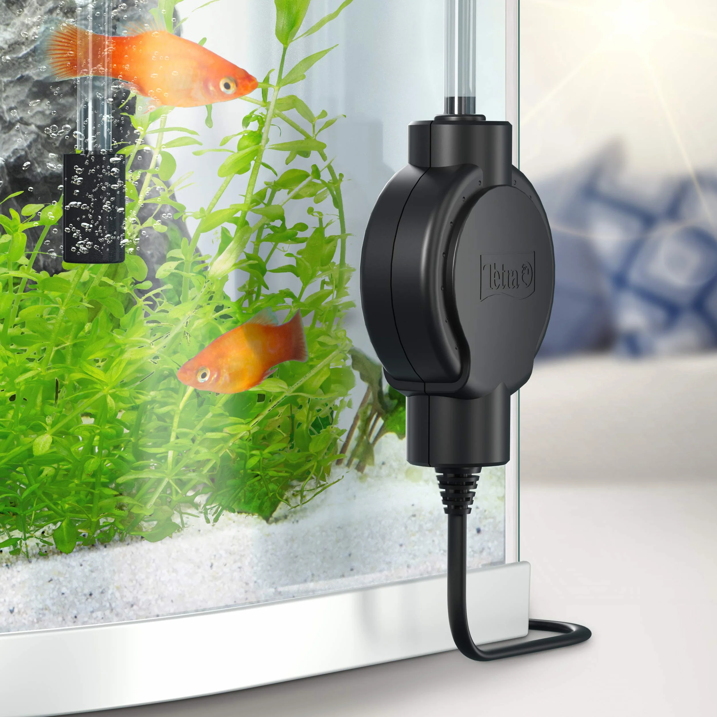 Tetra AirSilent cicha pompa powietrza do akwarium zestaw 10-80 l
