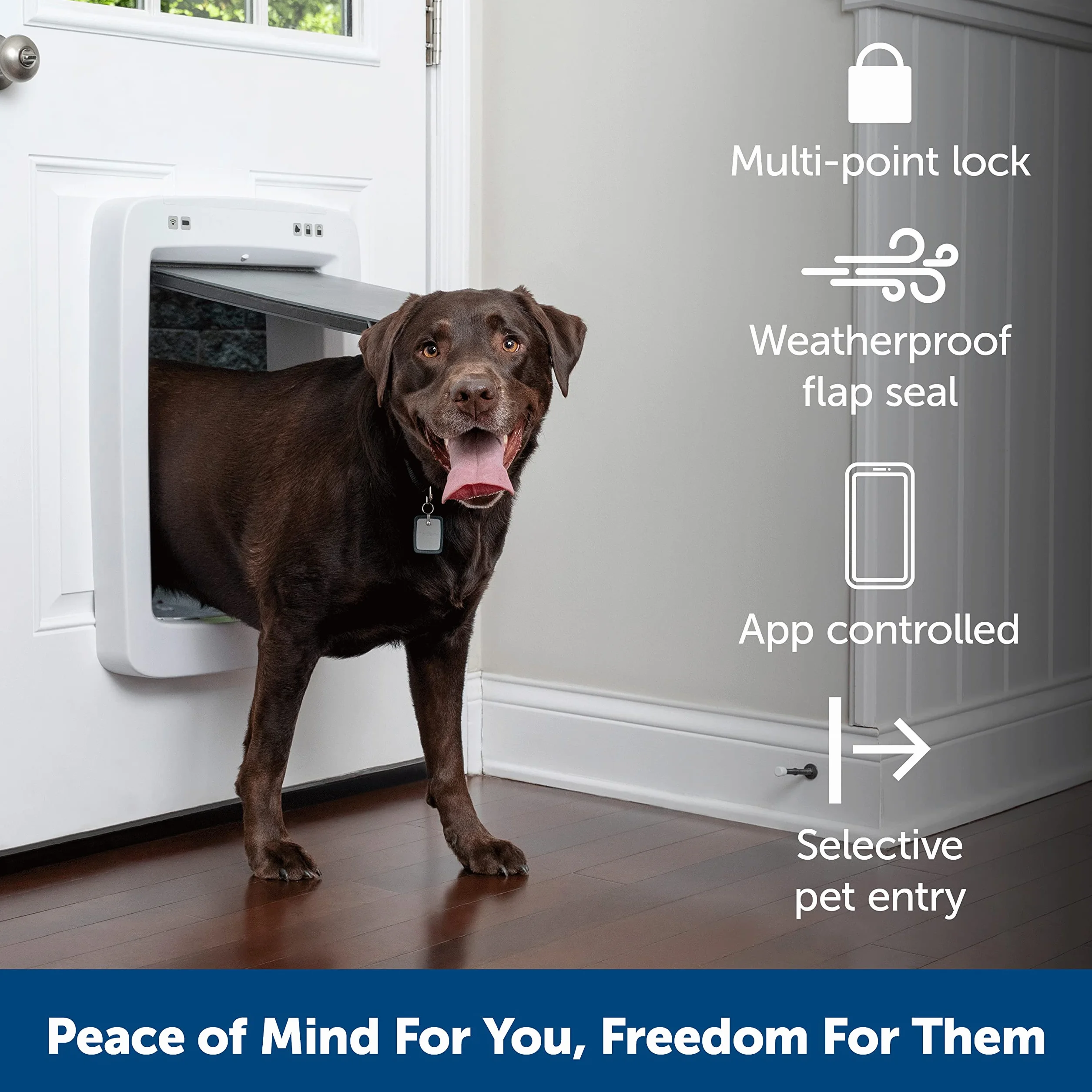 PetSafe SmartDoor, pies i kot, selektywne wejście/wyjście, drzwi aktywowane aplikacją na smartfonie, niestandardowe czasy, wiele zwierząt, duży rozmiar