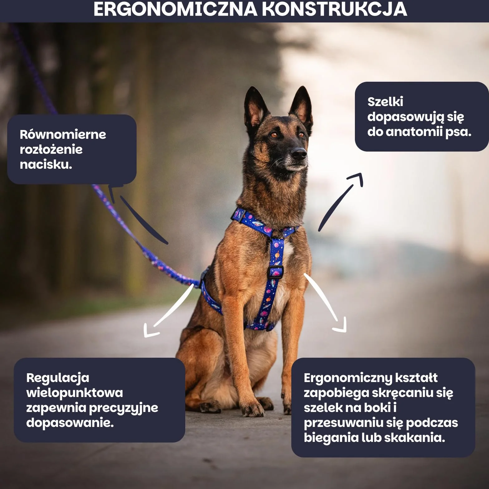 Szelki dla Małego Psa Guard | NO ABSORB - powłoka odpychająca brud i wode | Bezuciskowe | Wodoodporne | 5-cio stopniowa Regulacja | Lekkie | Cosmic Bloom - S