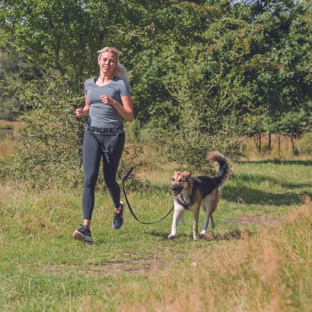 Pas biodrowy ze smyczą dla średnich i dużych psów