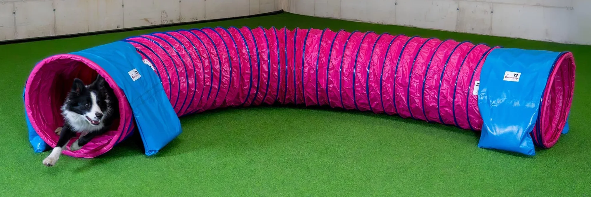 Callieway® Dog Agility tunel profesjonalny / psy tunel 5 m długości / 60 cm Ø Agility urządzenie (5 m, fuksja)