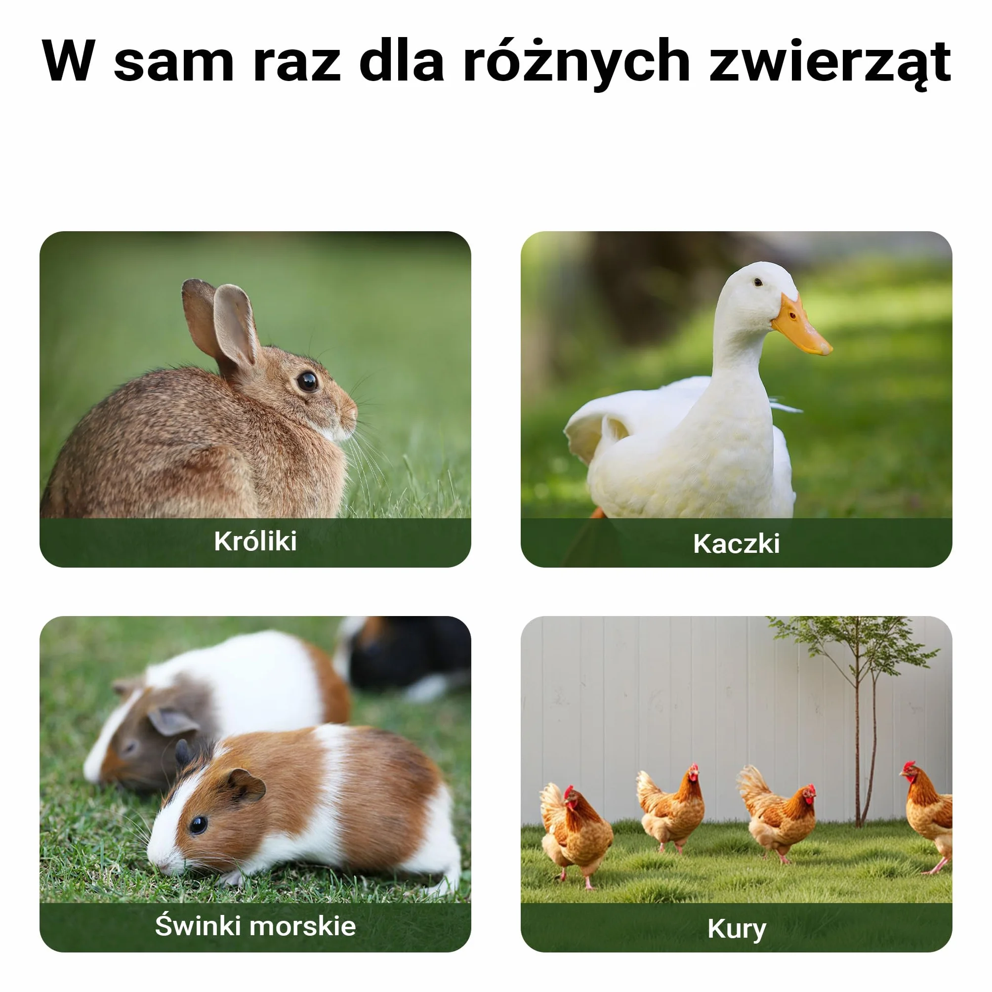 Wiltec klatka dla królików 1220 x 630 x 920 mm z wybiegiem i drewnianą budką 2 piętra