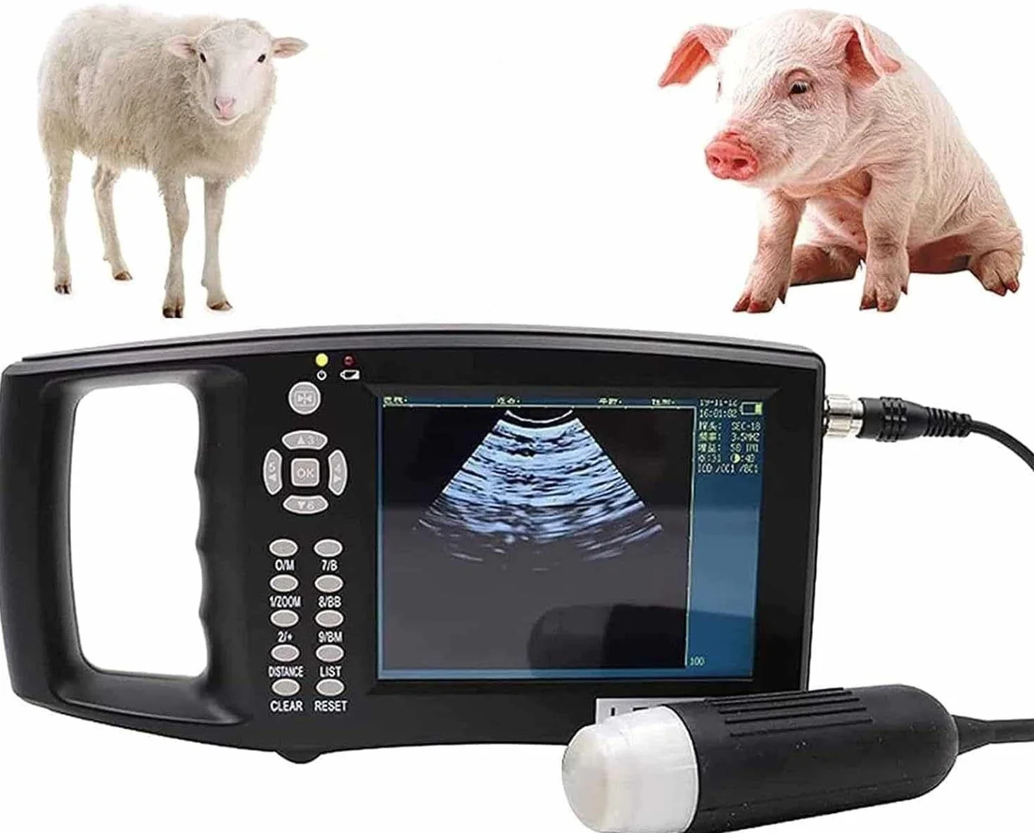 Zestaw weterynaryjnego skanera ultrasonograficznego – przenośna maszyna do testowania ciążowego HD z sondą mechaniczną dla świń i owiec – idealna do testowania ciążowego na zwierzętach