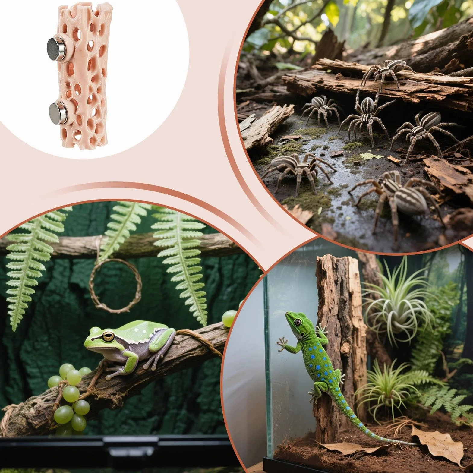 Spider Shelter - Magnetic Reptile Hiding Place | 3D Printed Gecko Cave, Sturdy Habitat for Jumping Spider, Climbing Pet Frog, Amphibian Enclosure, Safe and Easy-to-Attach Terrarium Accessory