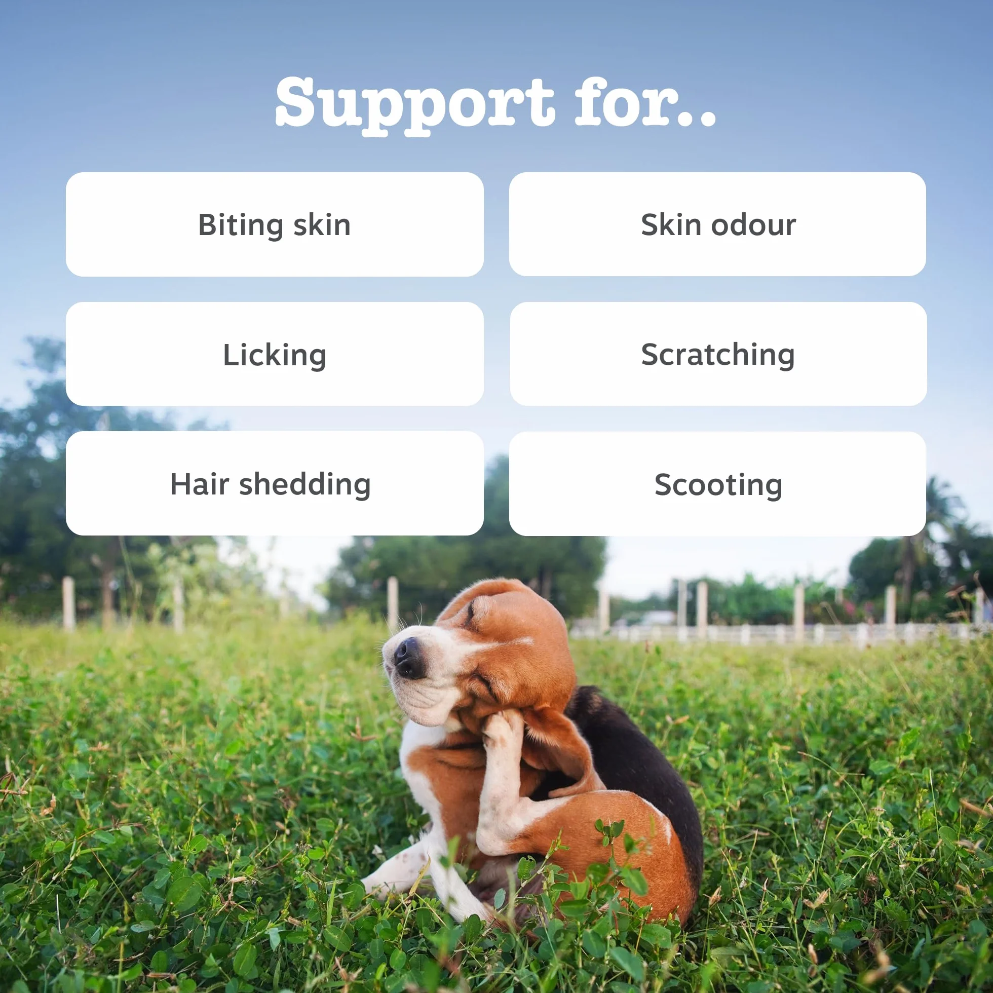 Zesty Paws Anti-Itch Chews for Dogs, 90 Chews, Soothes Itchy Skin & Supports Immune Health