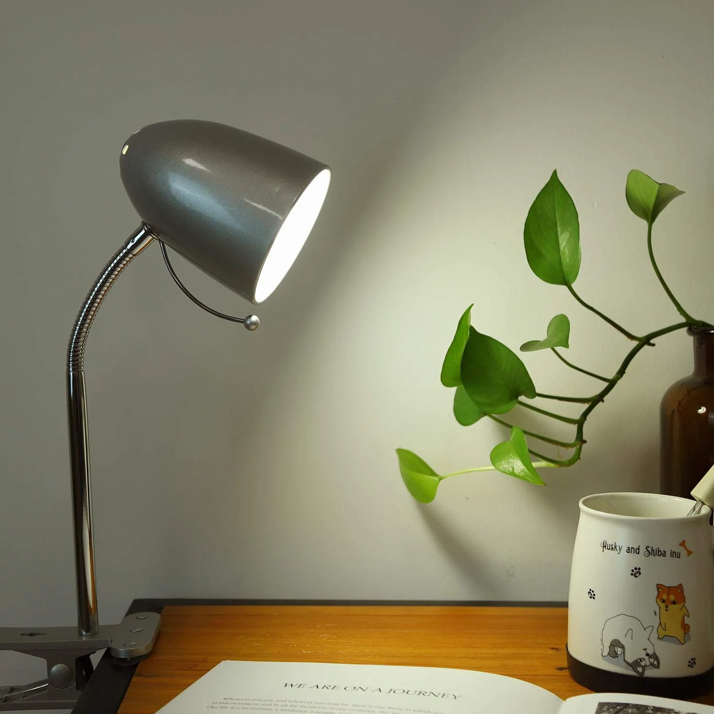 Aigostar Lampa biurkowa z zaciskiem Retro E27 240V Srebrny