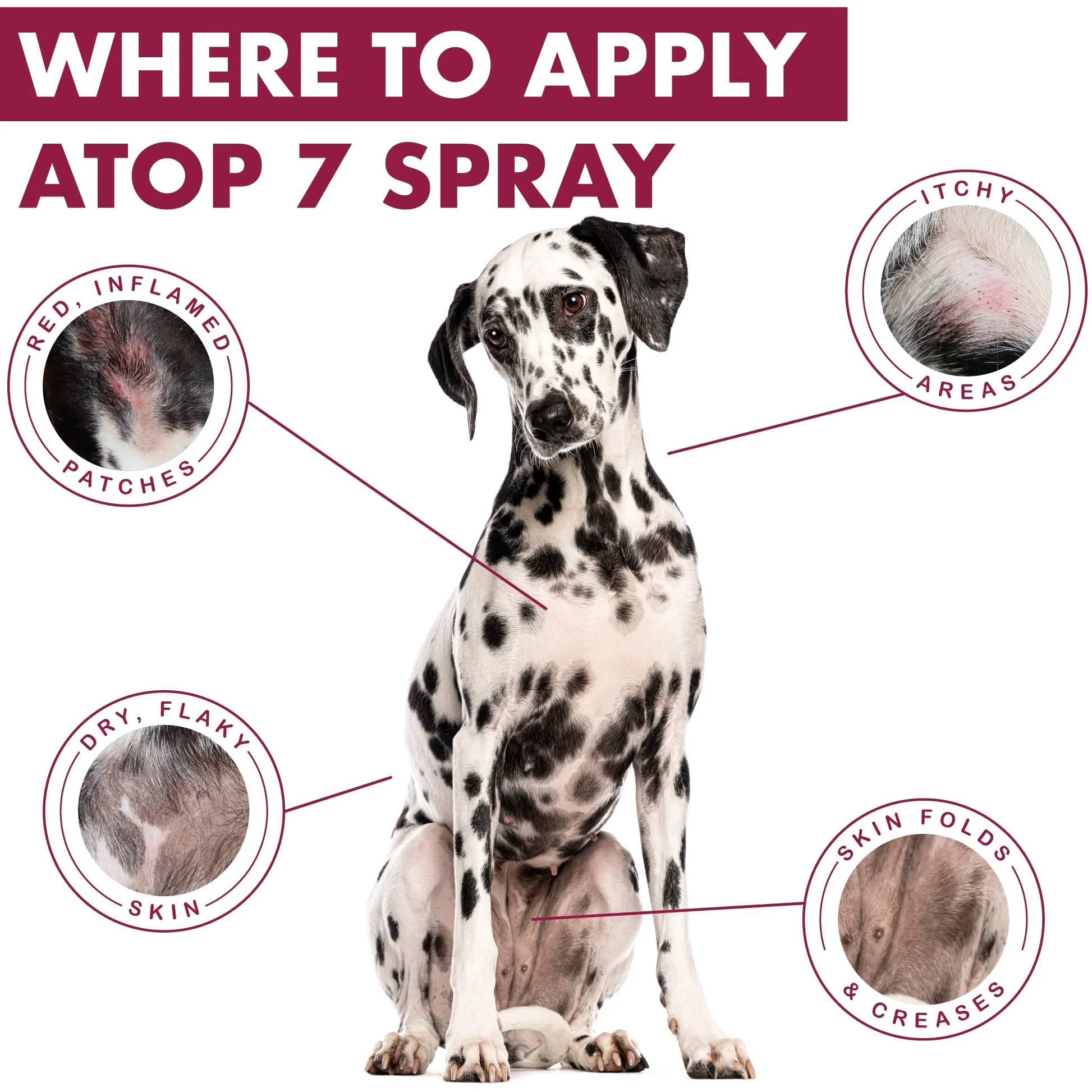 Dermoscent ATOP 7 Spray dla psów i kotów – 75 ml