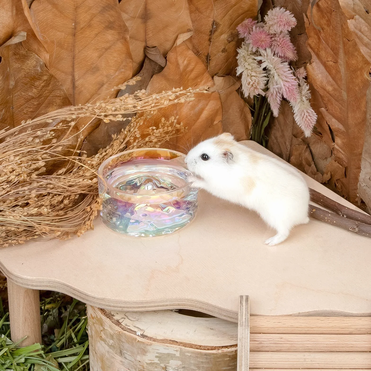 Niteangel Hamster Feeding & Water Bowls- Mount Fuji Series Glass Drinking Bowls for Dwarf Syrian Hamsters Gerbils Mice Rats or Other Similar-Sized Small Pets