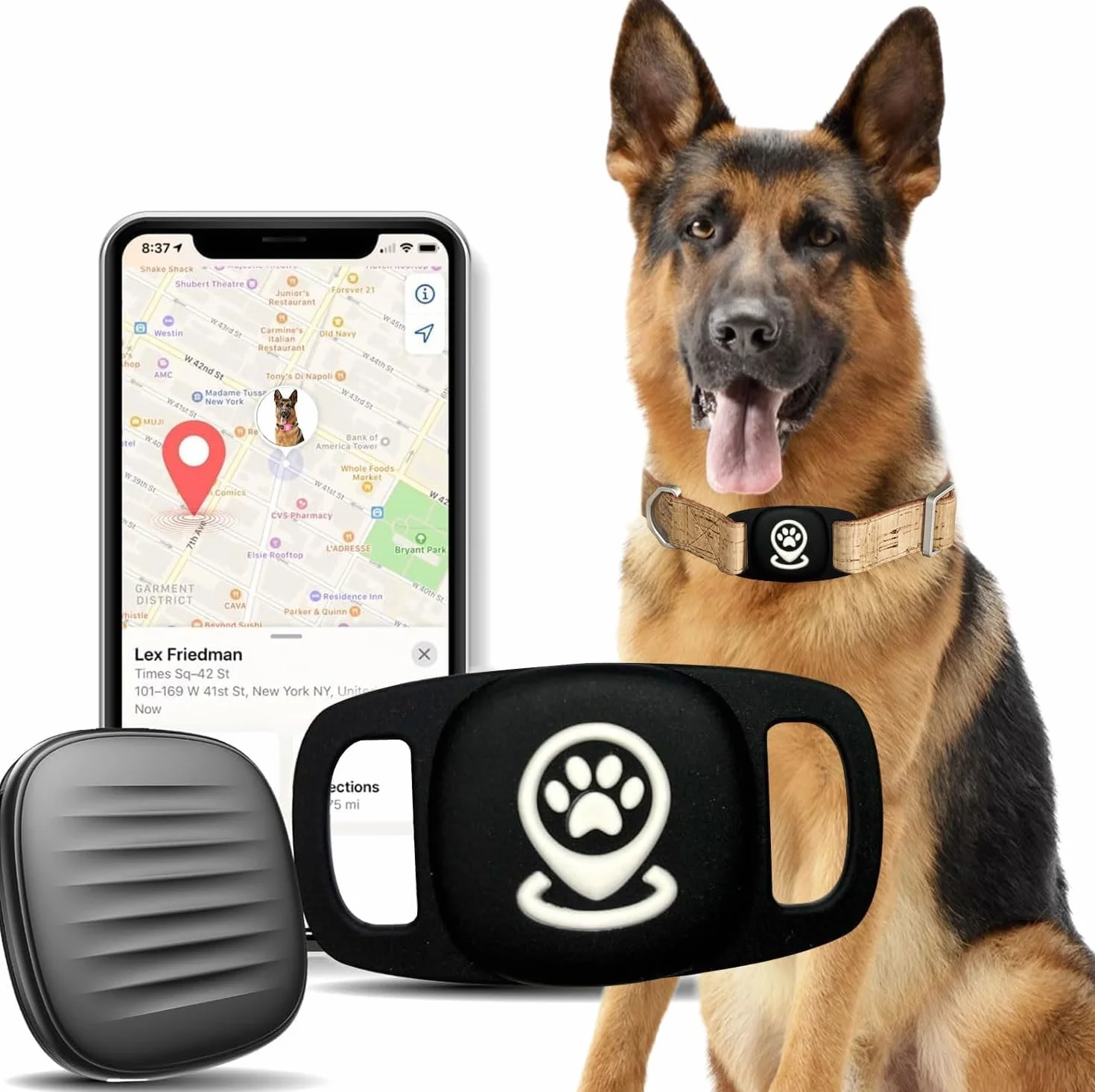 Tracker Dog, inteligentny tag z rozszerzonym zasięgiem, działa płynnie z aplikacją Find My, lokalizator psa bez subskrypcji, nie lokalizator GPS psa (czarny), tylko iOS