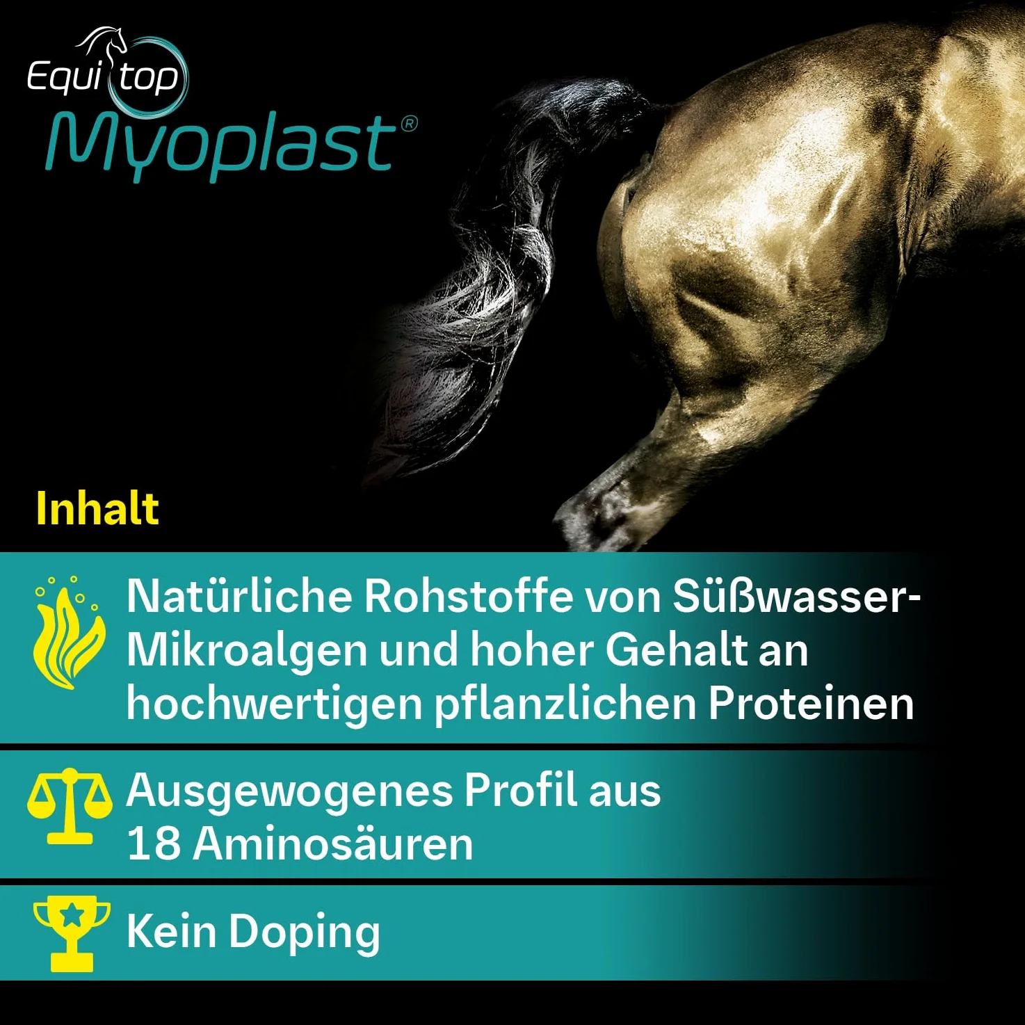 EQUITOP Myoplast granulat do budowy mięśni dla koni, 1,5 kg